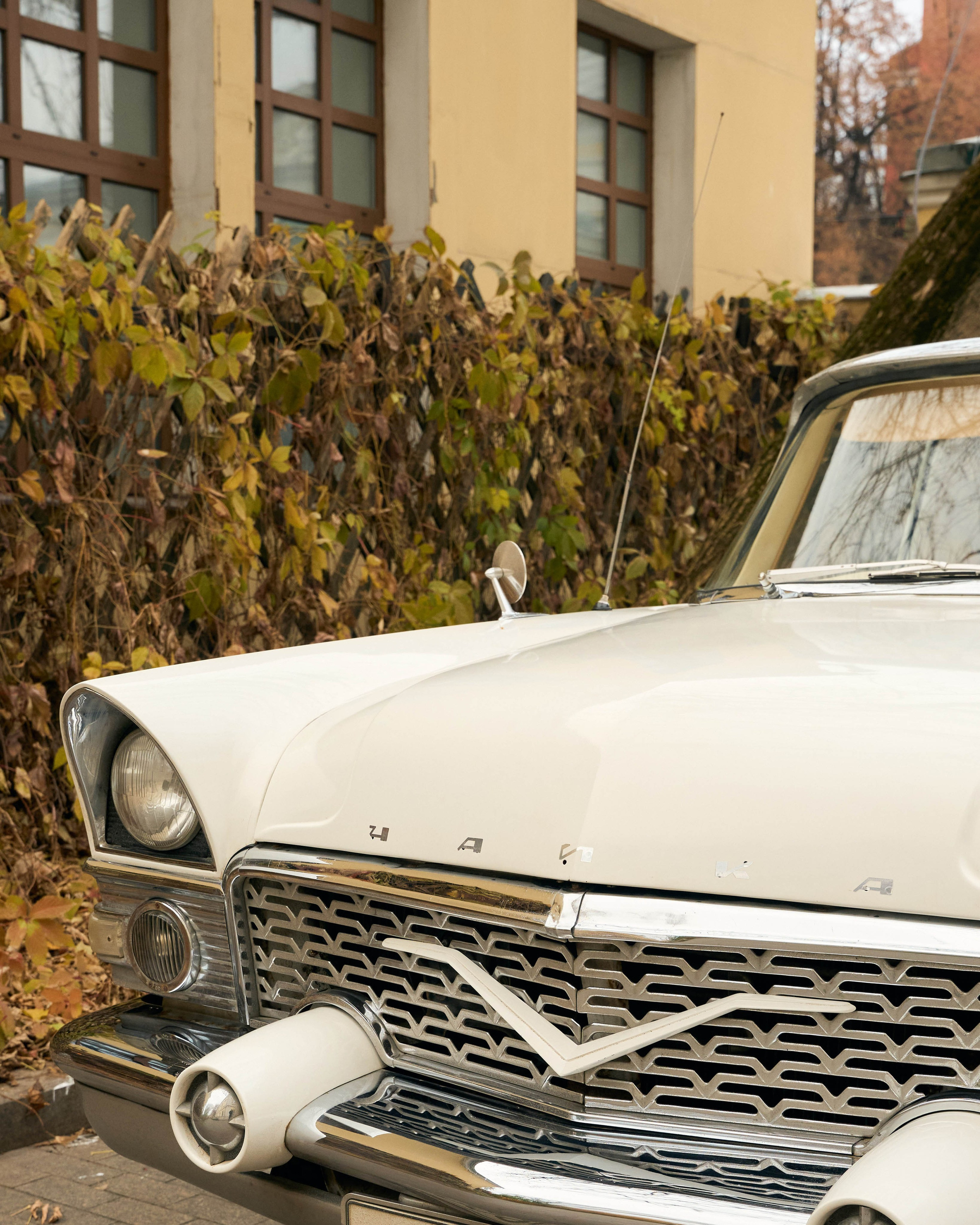 Алиса + Сергей. Minflo Photographer