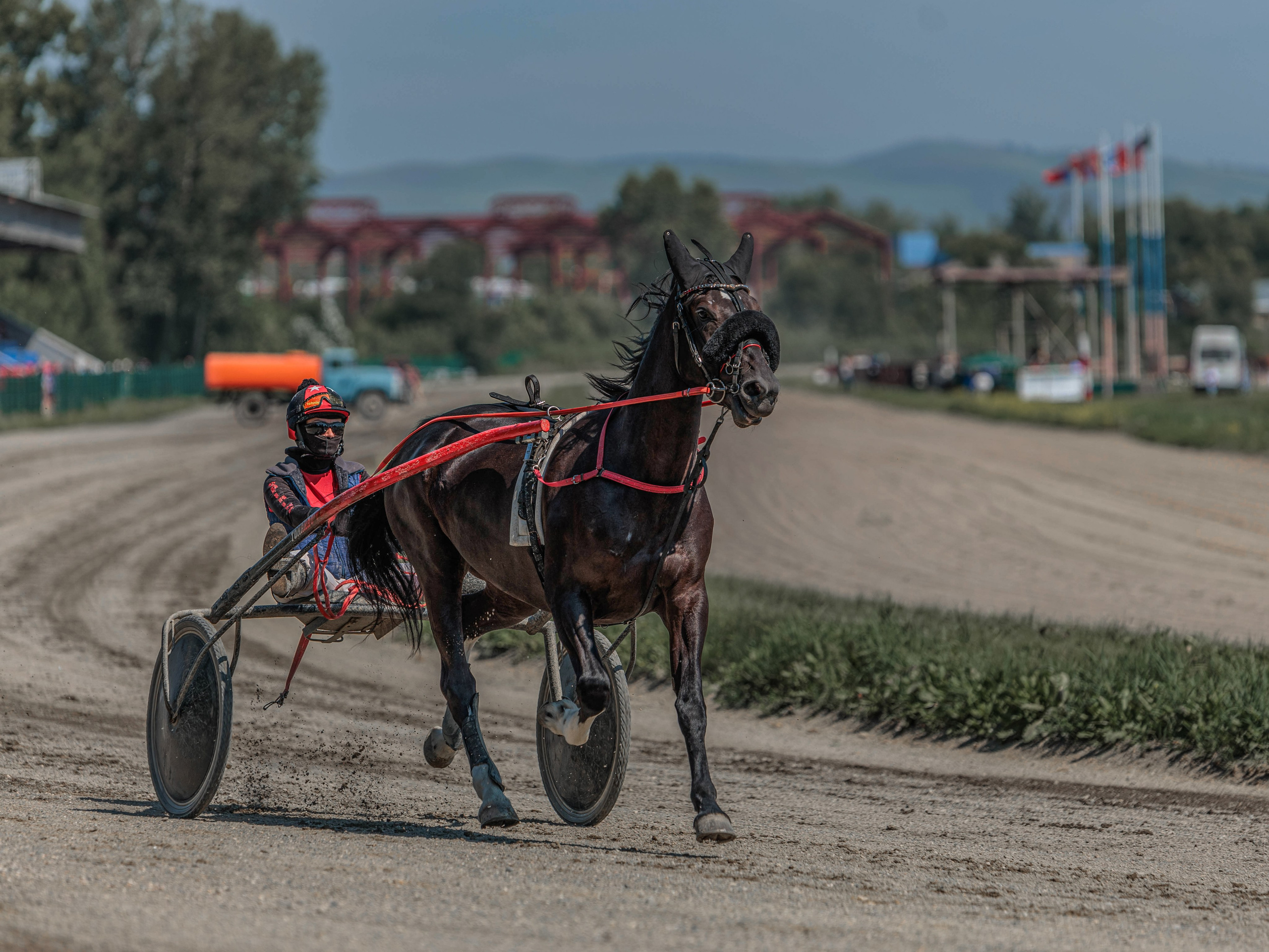 Зарисовки Абаканский ипподром 2025. Конный фотограф в Красноярске — Любовь Похабова