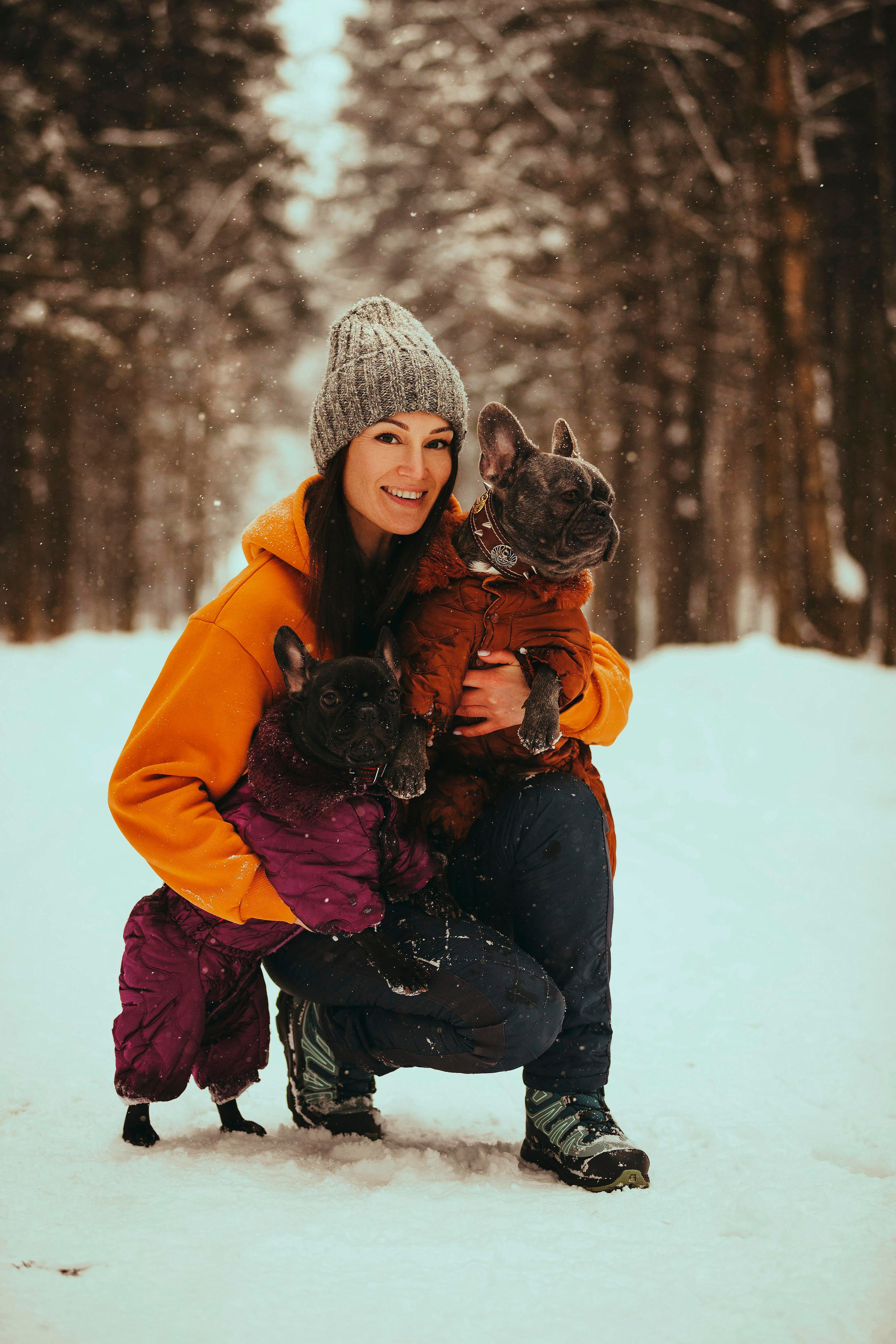 Pugs. Photographer in Montenegro Tatiana Talaeva