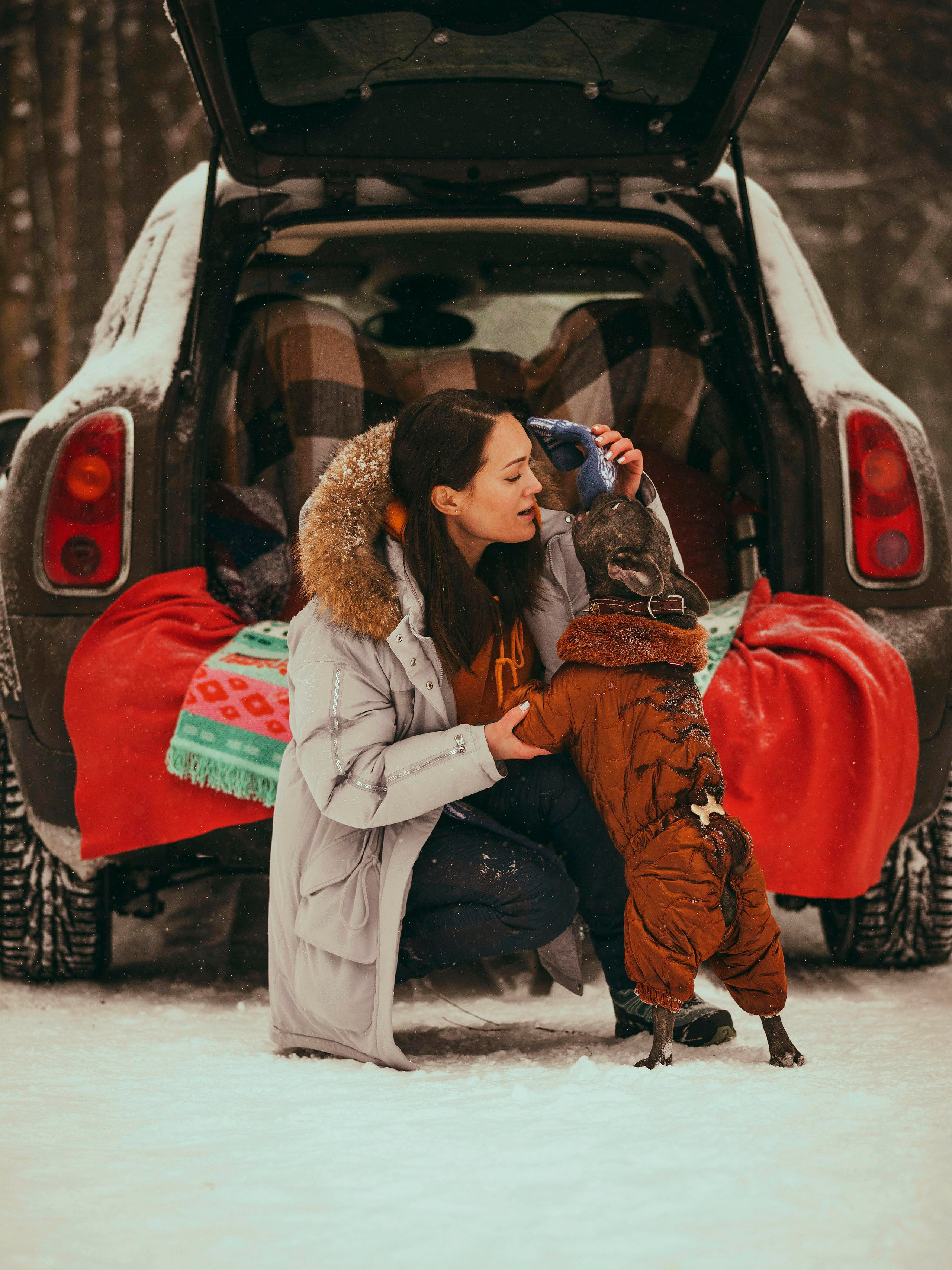 Pugs. Photographer in Montenegro Tatiana Talaeva