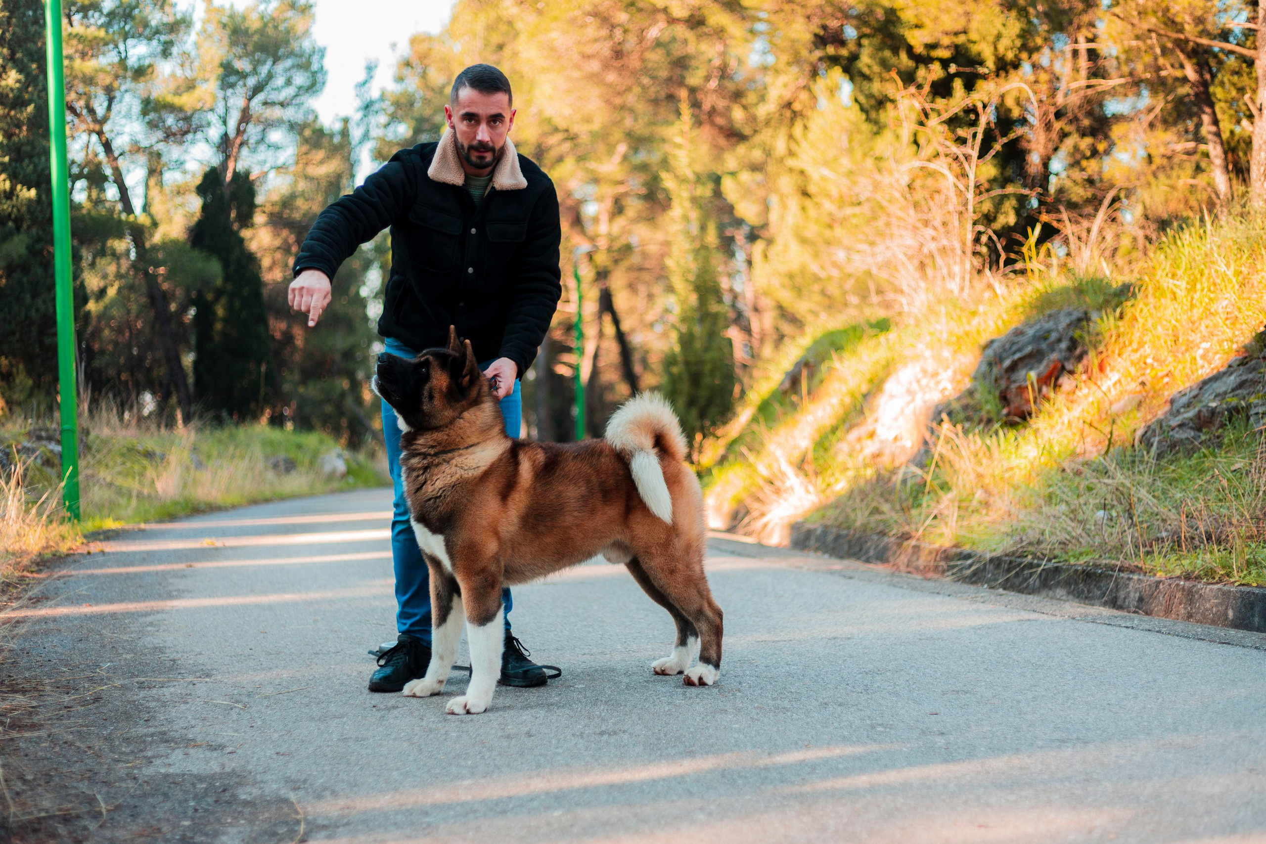 Balu. Photographer in Montenegro Tatiana Talaeva