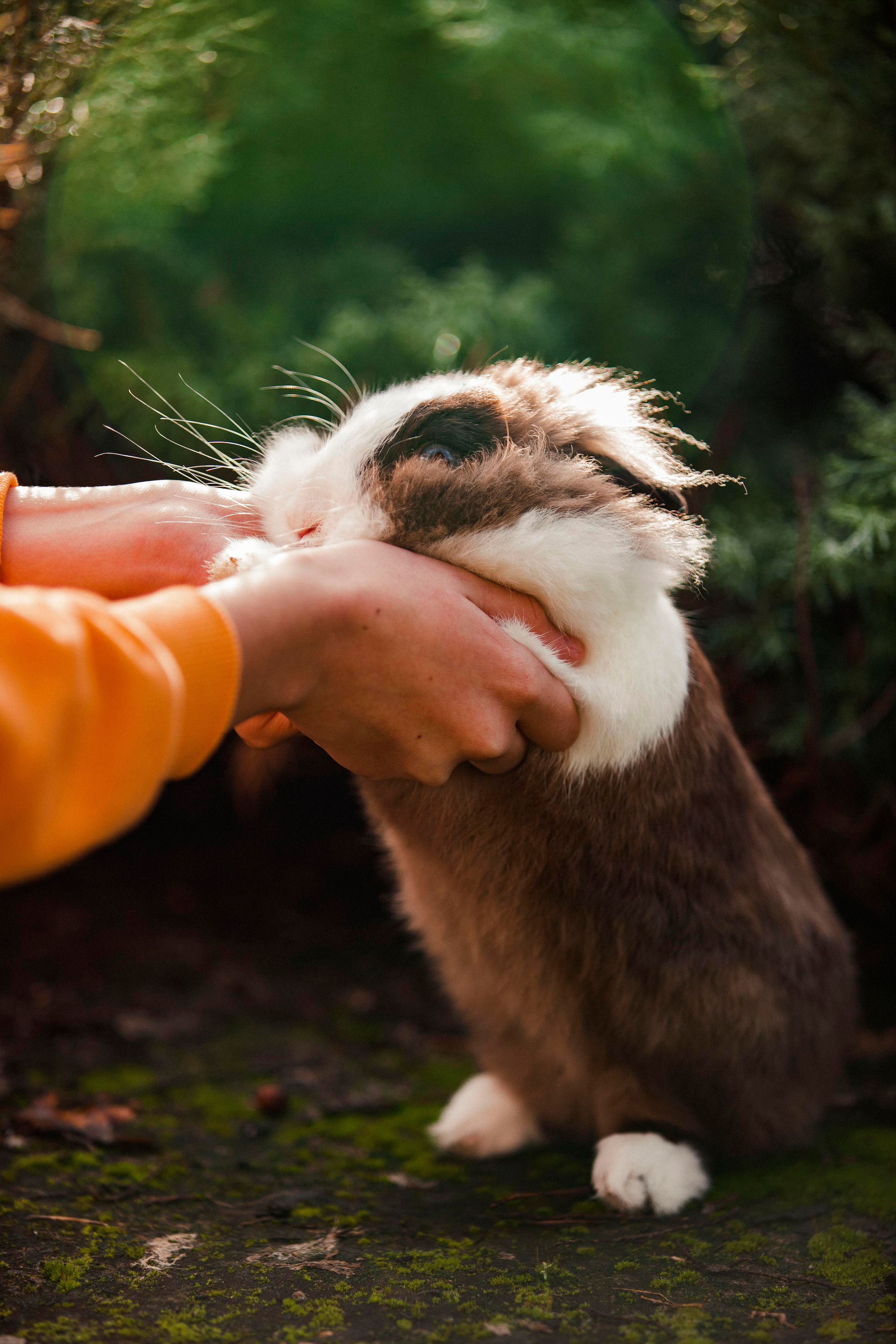 Lilly. Photographer in Montenegro Tatiana Talaeva