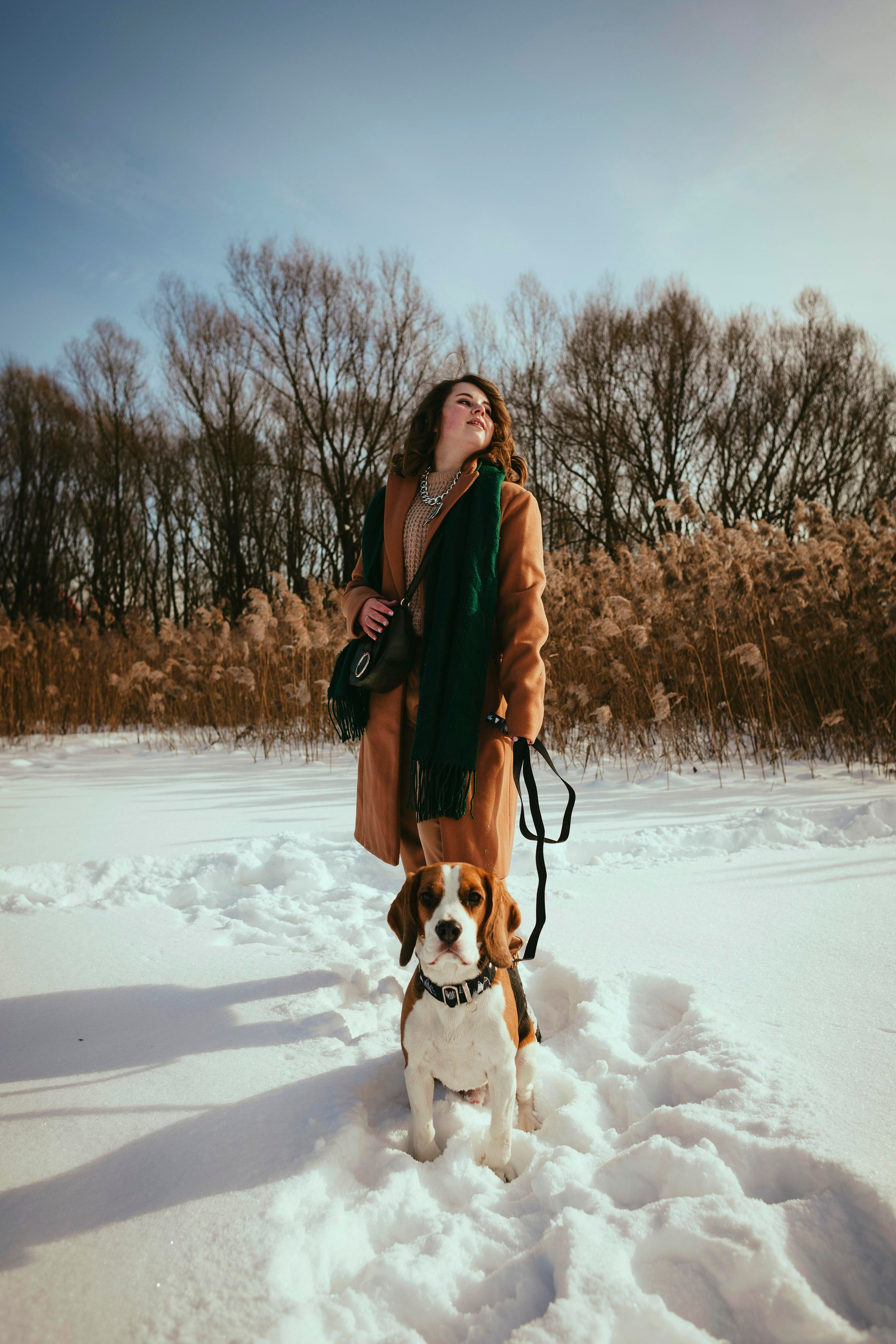 Billy. Photographer in Montenegro Tatiana Talaeva