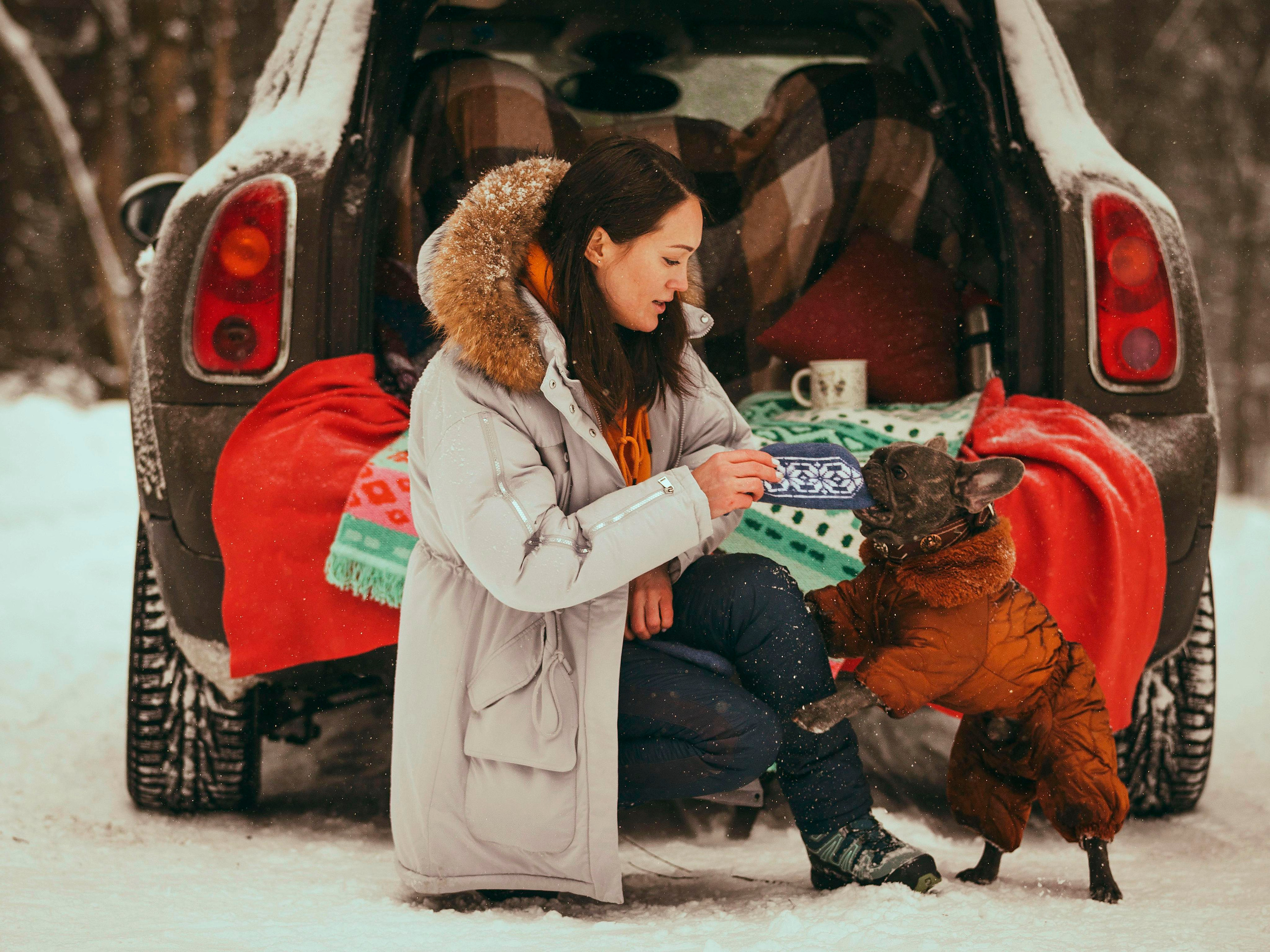 Pugs. Photographer in Montenegro Tatiana Talaeva