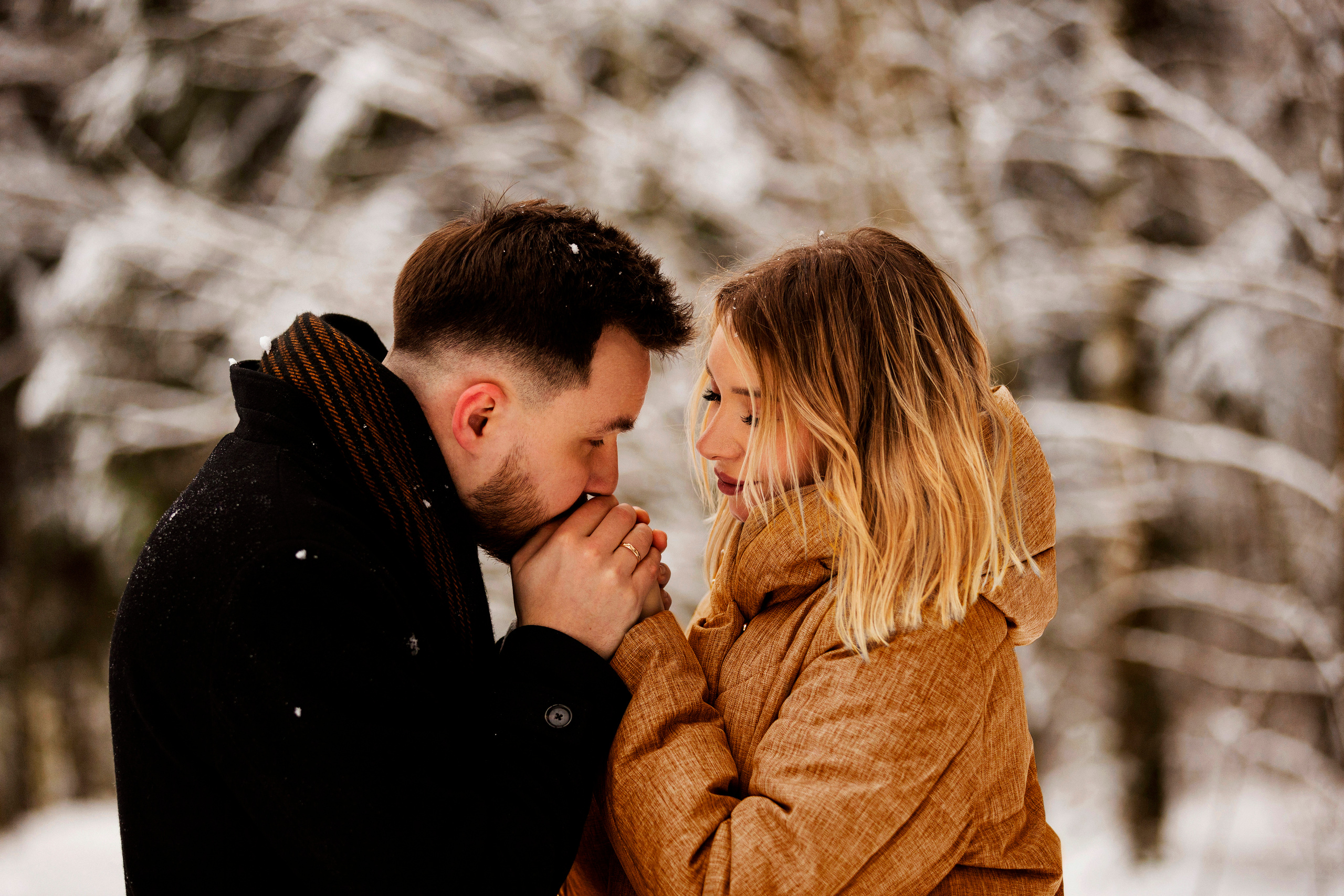 Forest. Photographer in Montenegro Tatiana Talaeva