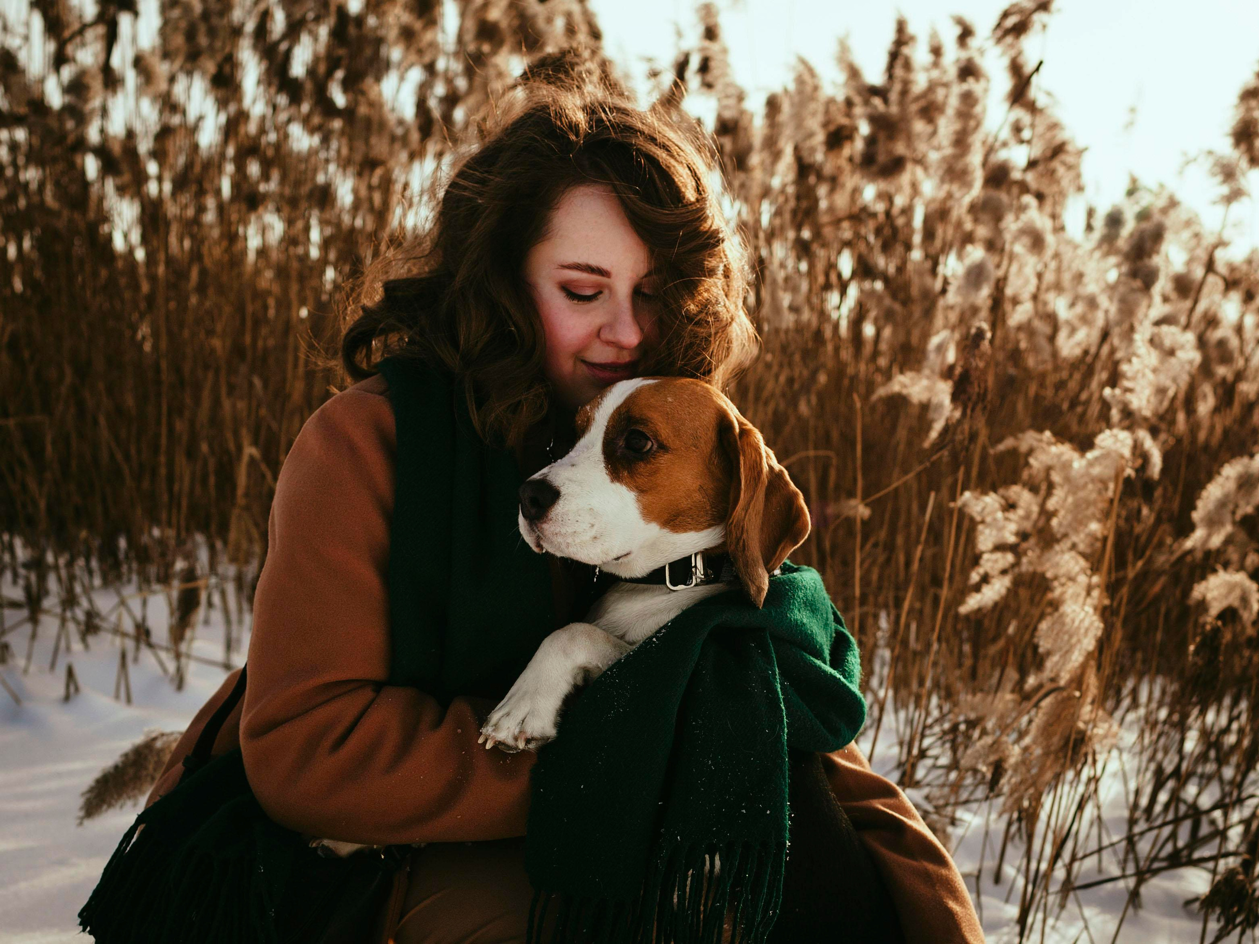 Billy. Photographer in Montenegro Tatiana Talaeva
