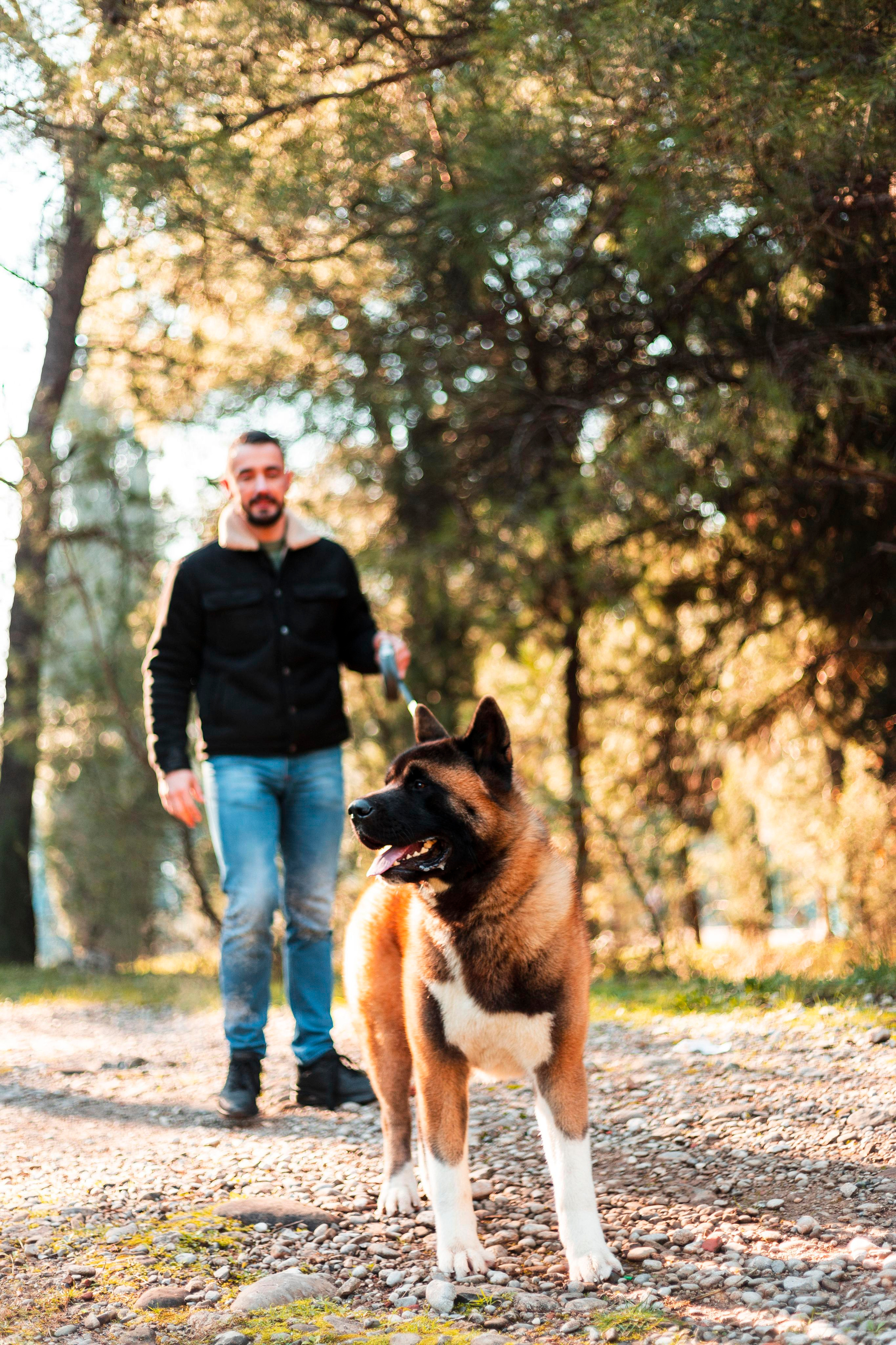 Balu. Photographer in Montenegro Tatiana Talaeva