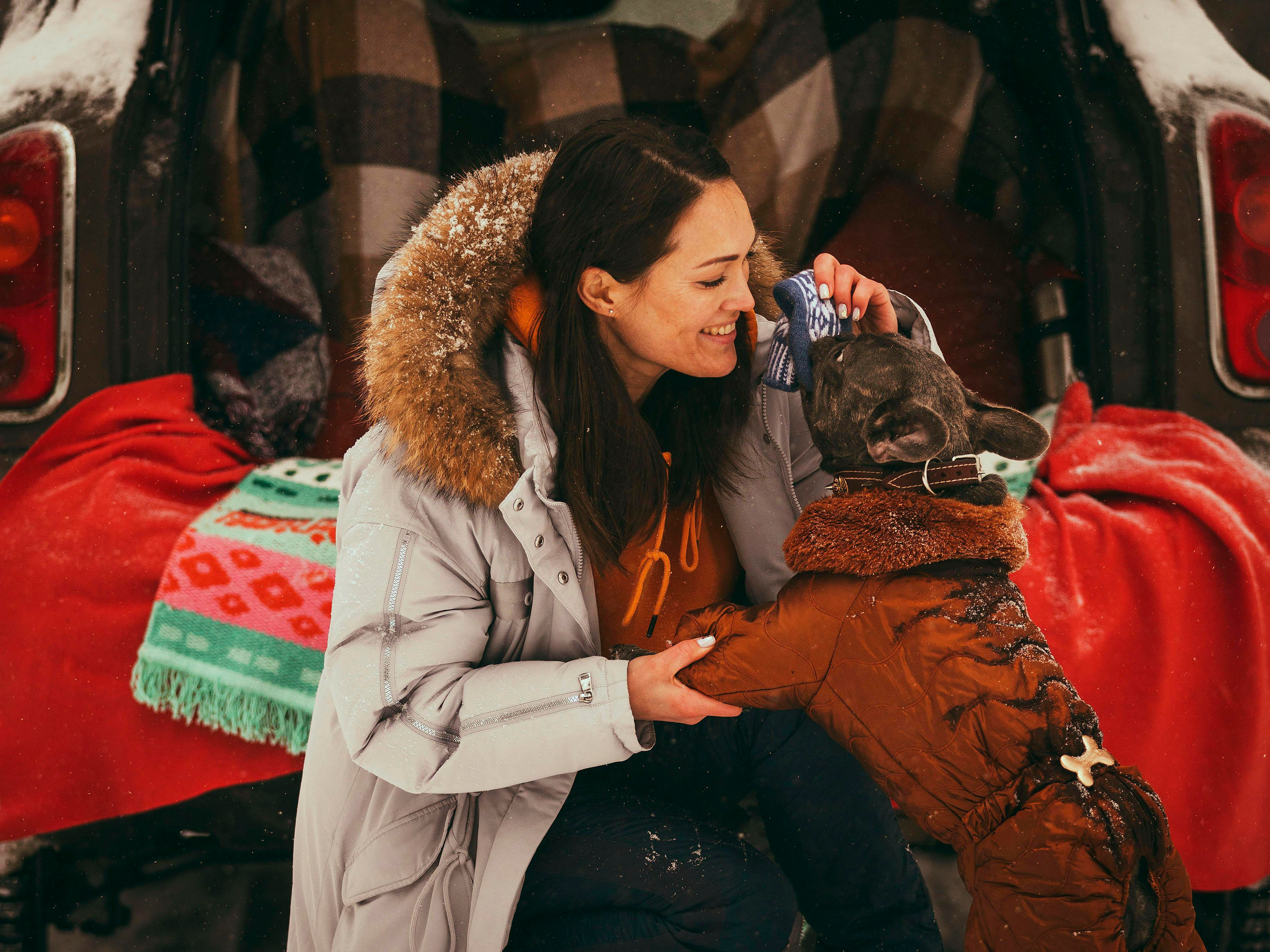 Pugs. Photographer in Montenegro Tatiana Talaeva