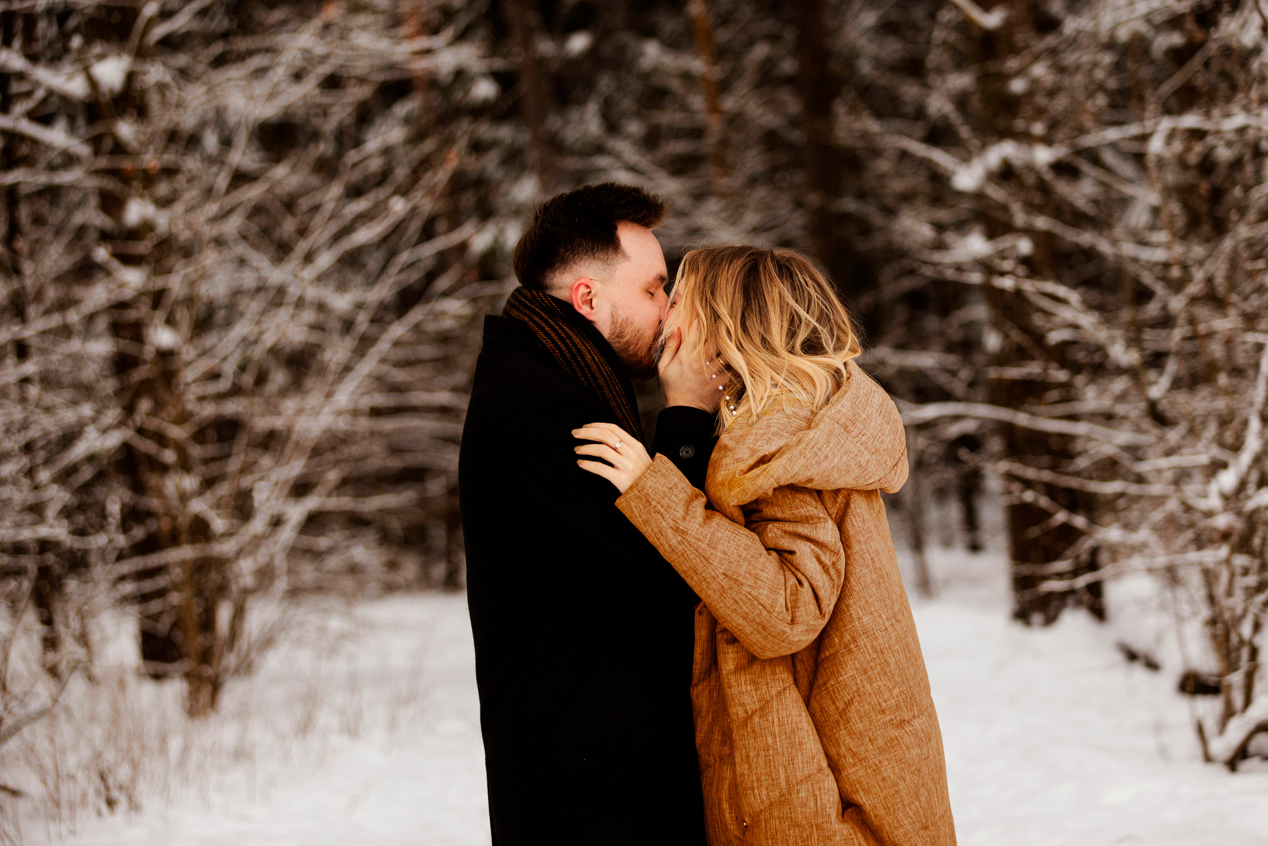 Forest. Photographer in Montenegro Tatiana Talaeva