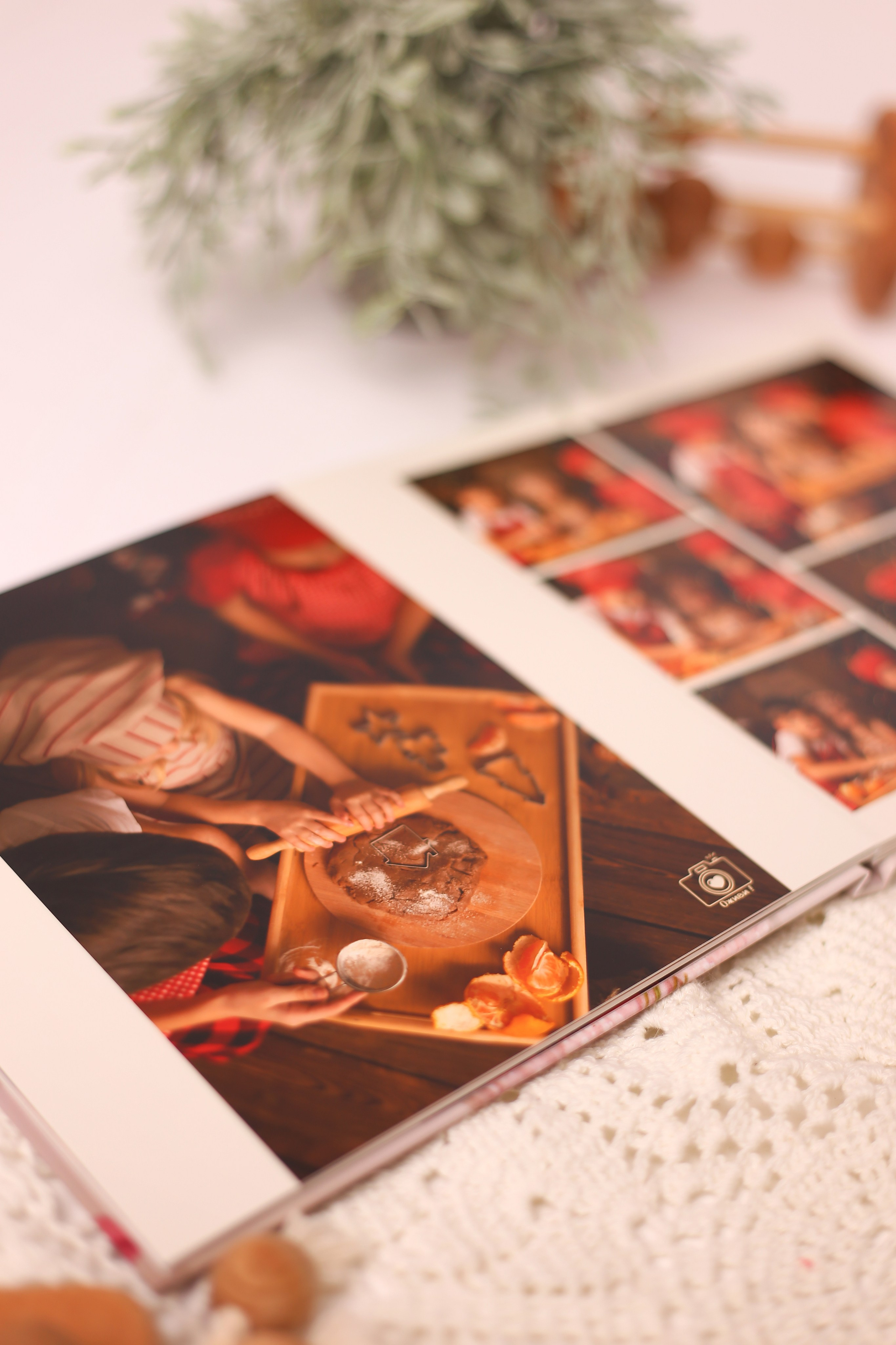 Книги Фабрика. Семейный фотограф Дарья Дзюбинская Раевская Анапа Новороссийск