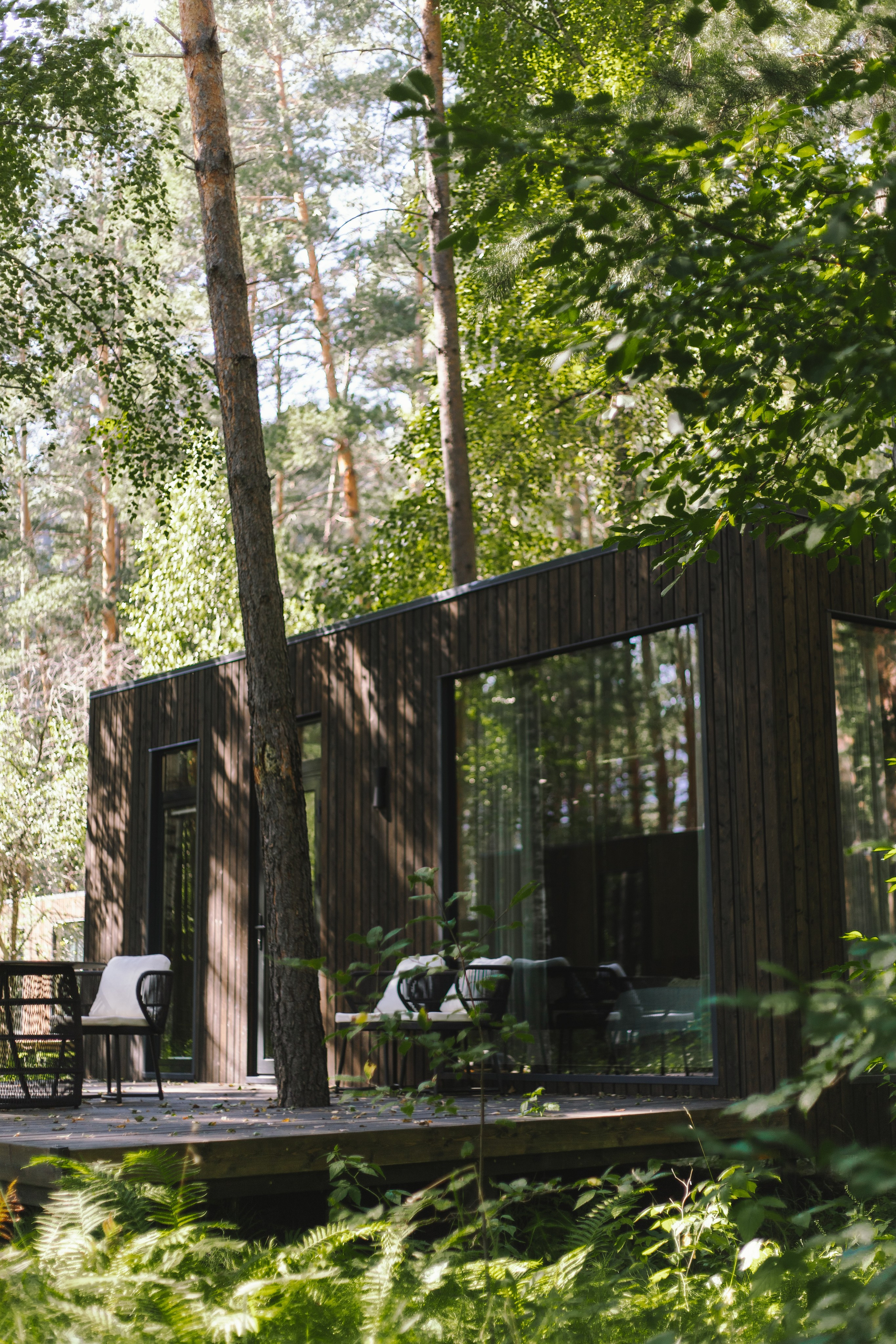 Туры/ретриты. Фотограф Горный Алтай