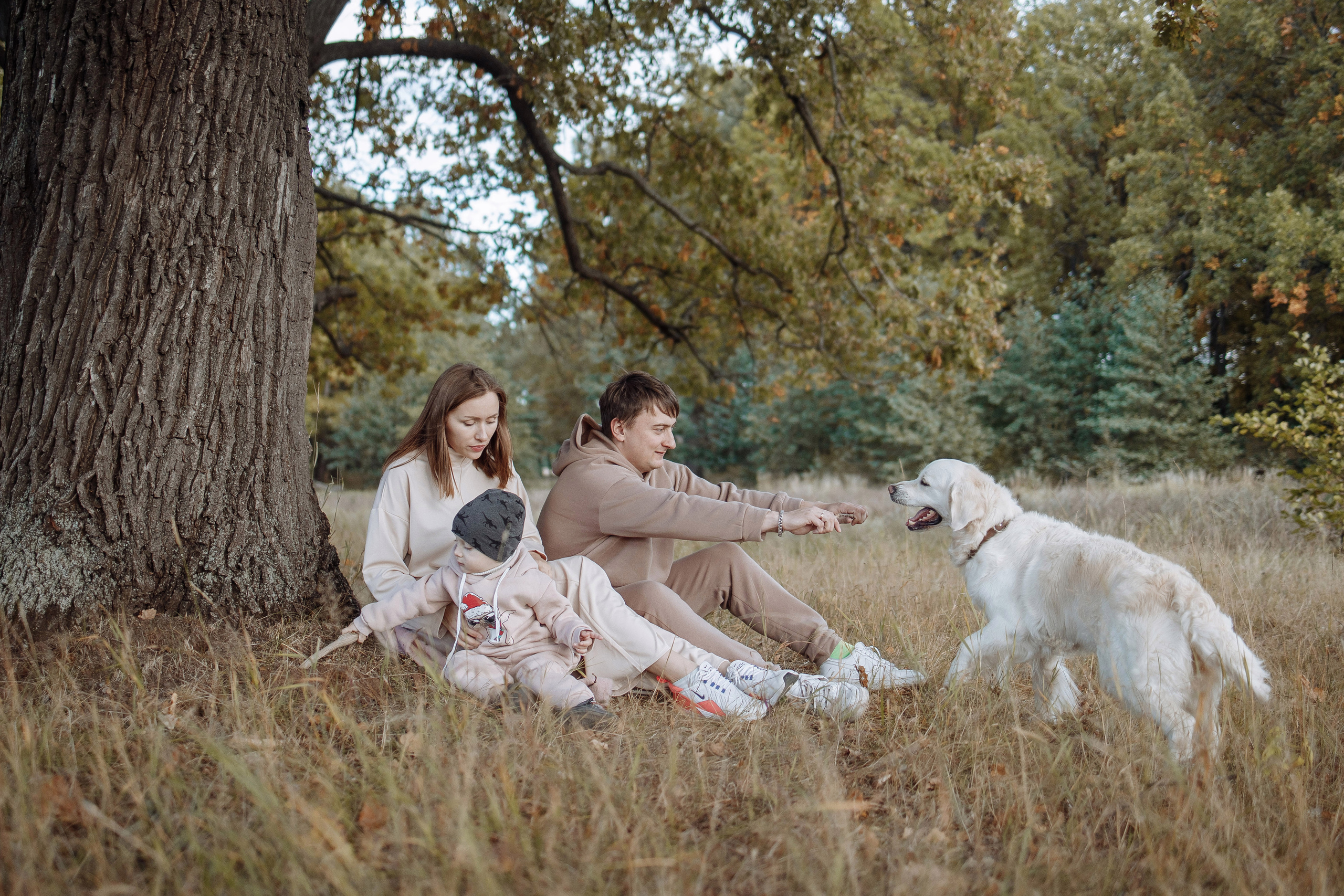 Фотосессия № 8 (осень). Фотография