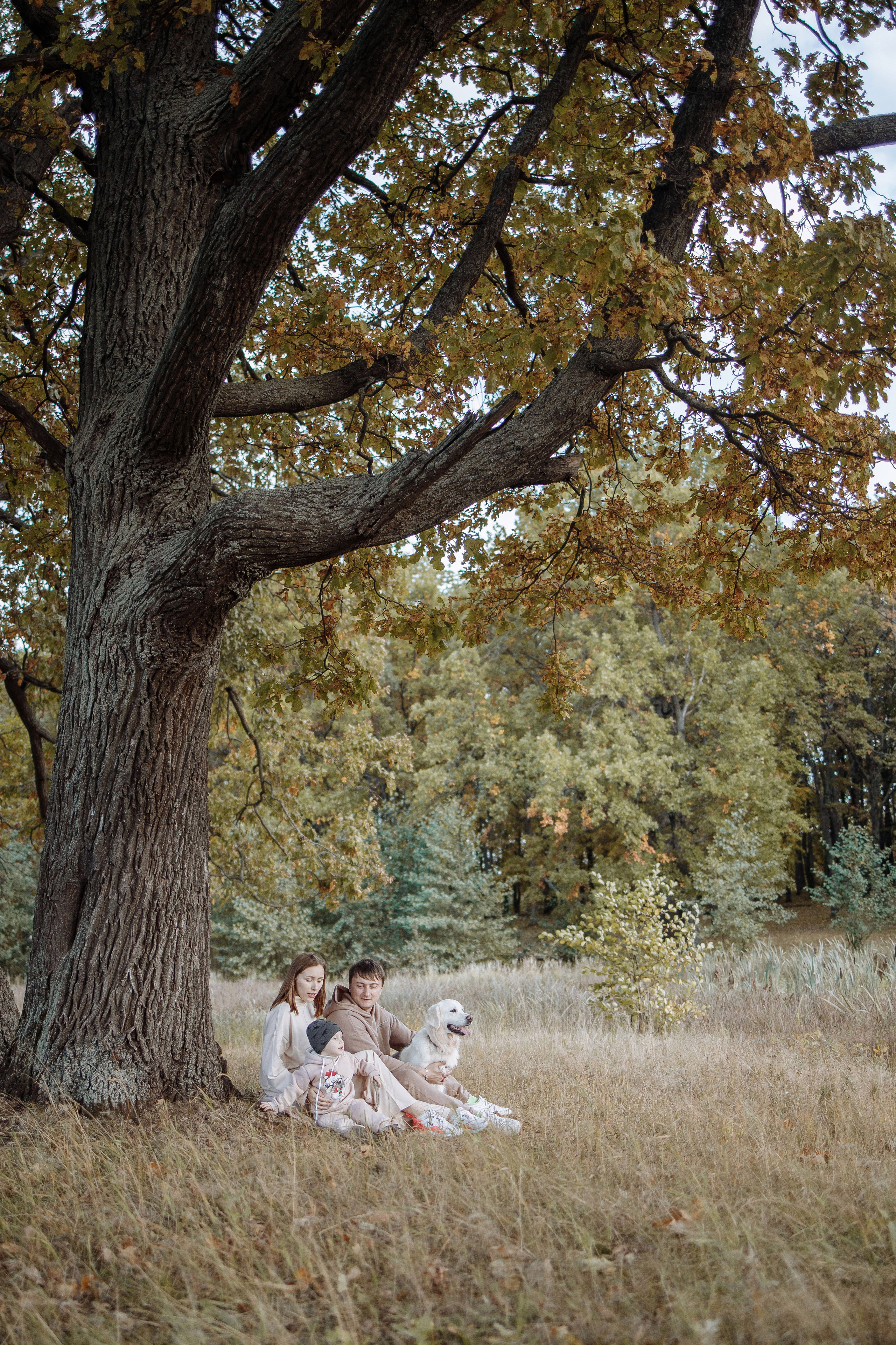 Фотосессия № 8 (осень). Фотография