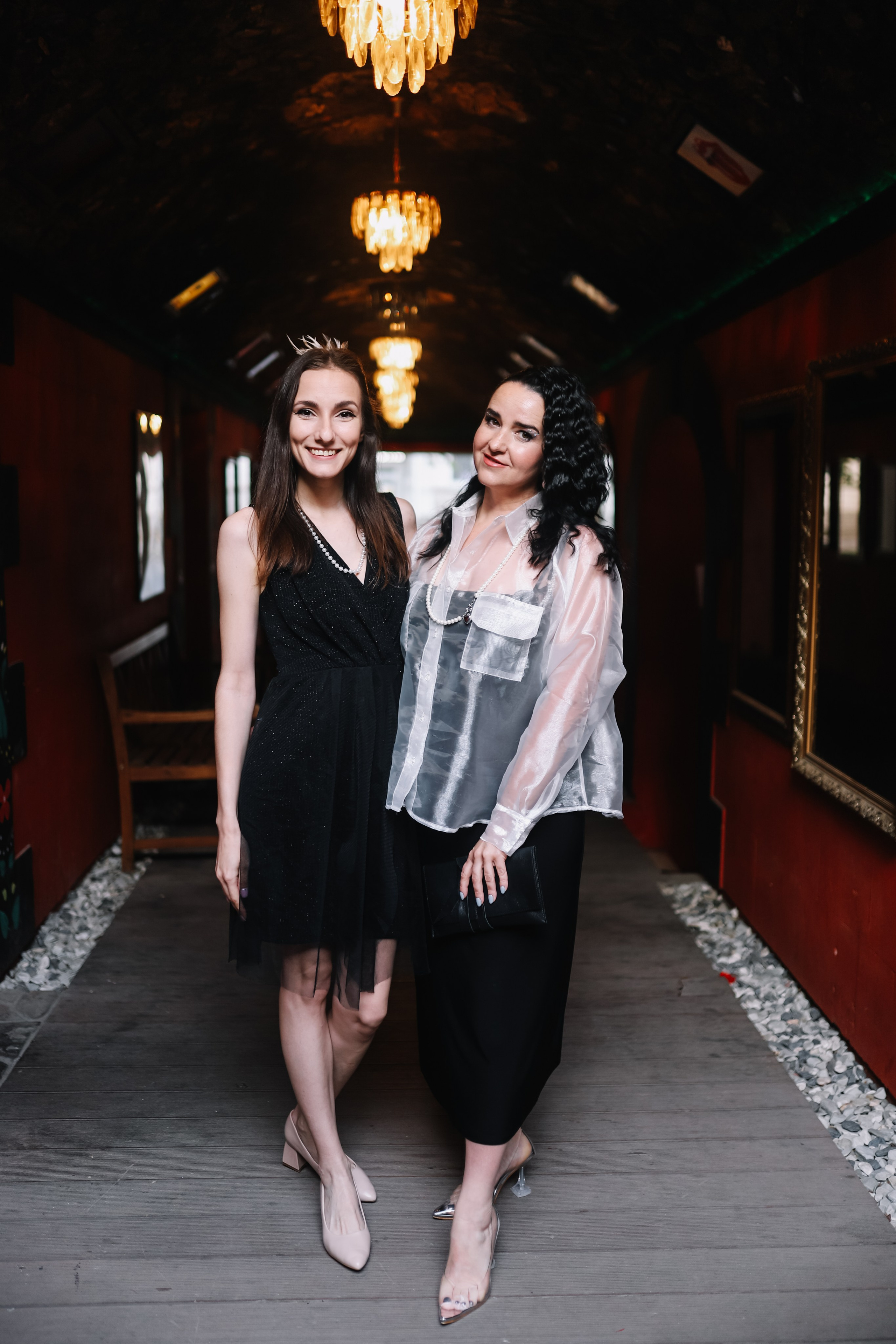 25.Диана и гости