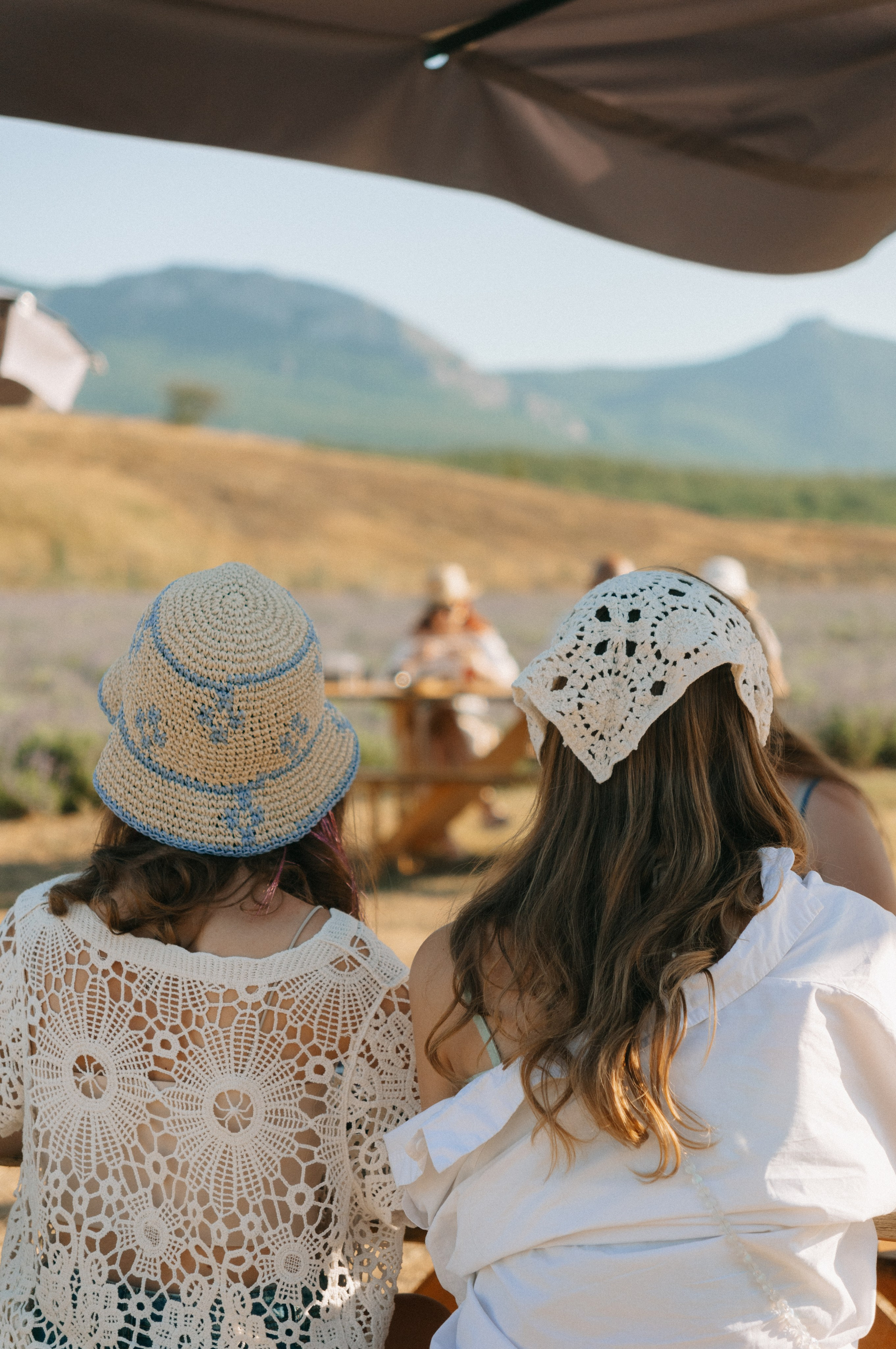 Сбор урожая | лавандовая ферма Viva Lavanda. Обо мне