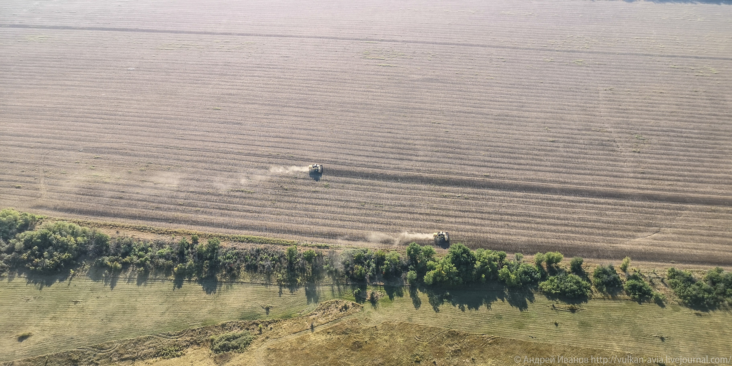 Волгодонск аэр. Потапов слёт «Небо для всех» (2021 г.). Фотоальбом показывающий увлекательный мир авиации и мир медведей Андрея Иванова
