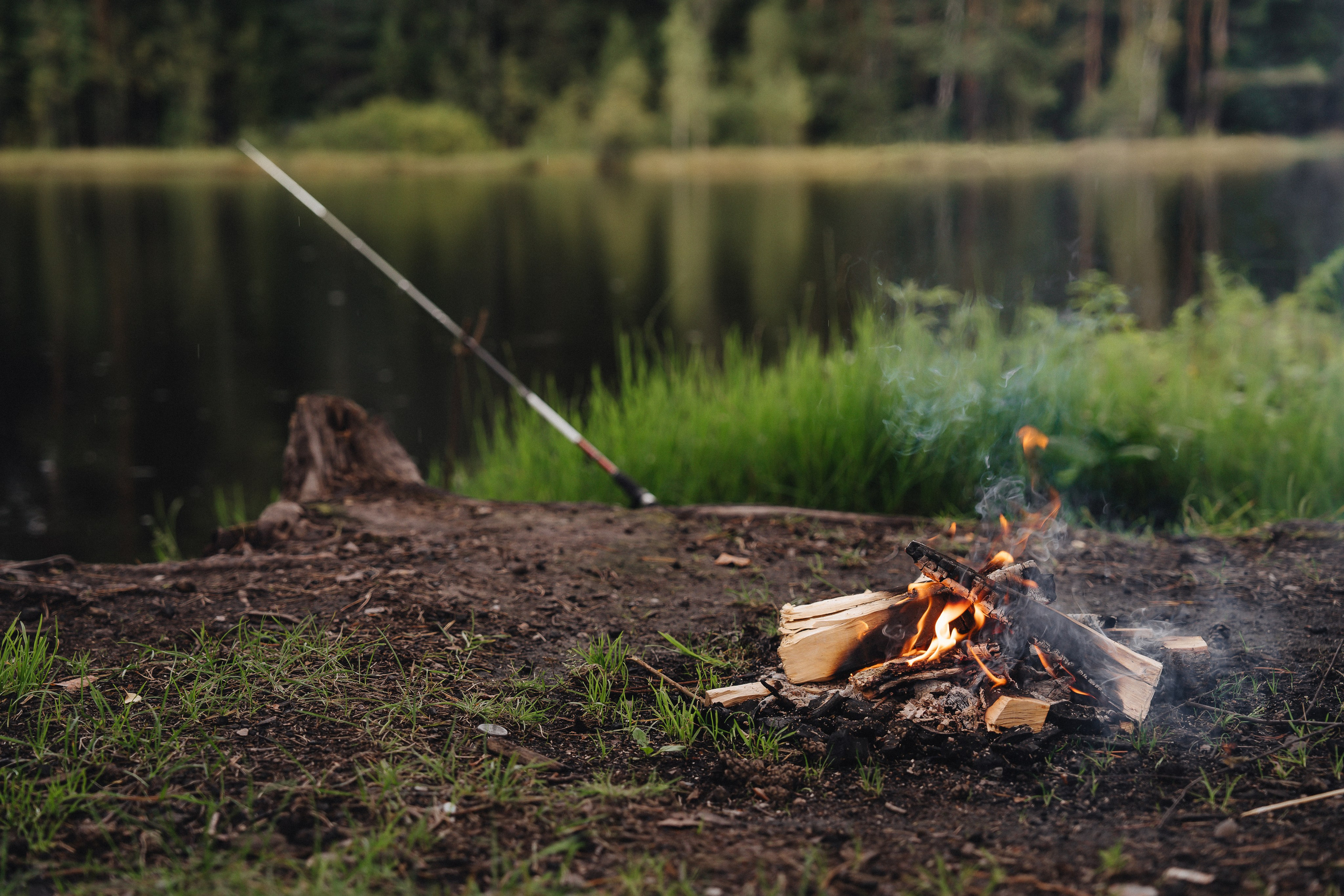 Счастье. Фотограф Екатерина Канчалаба