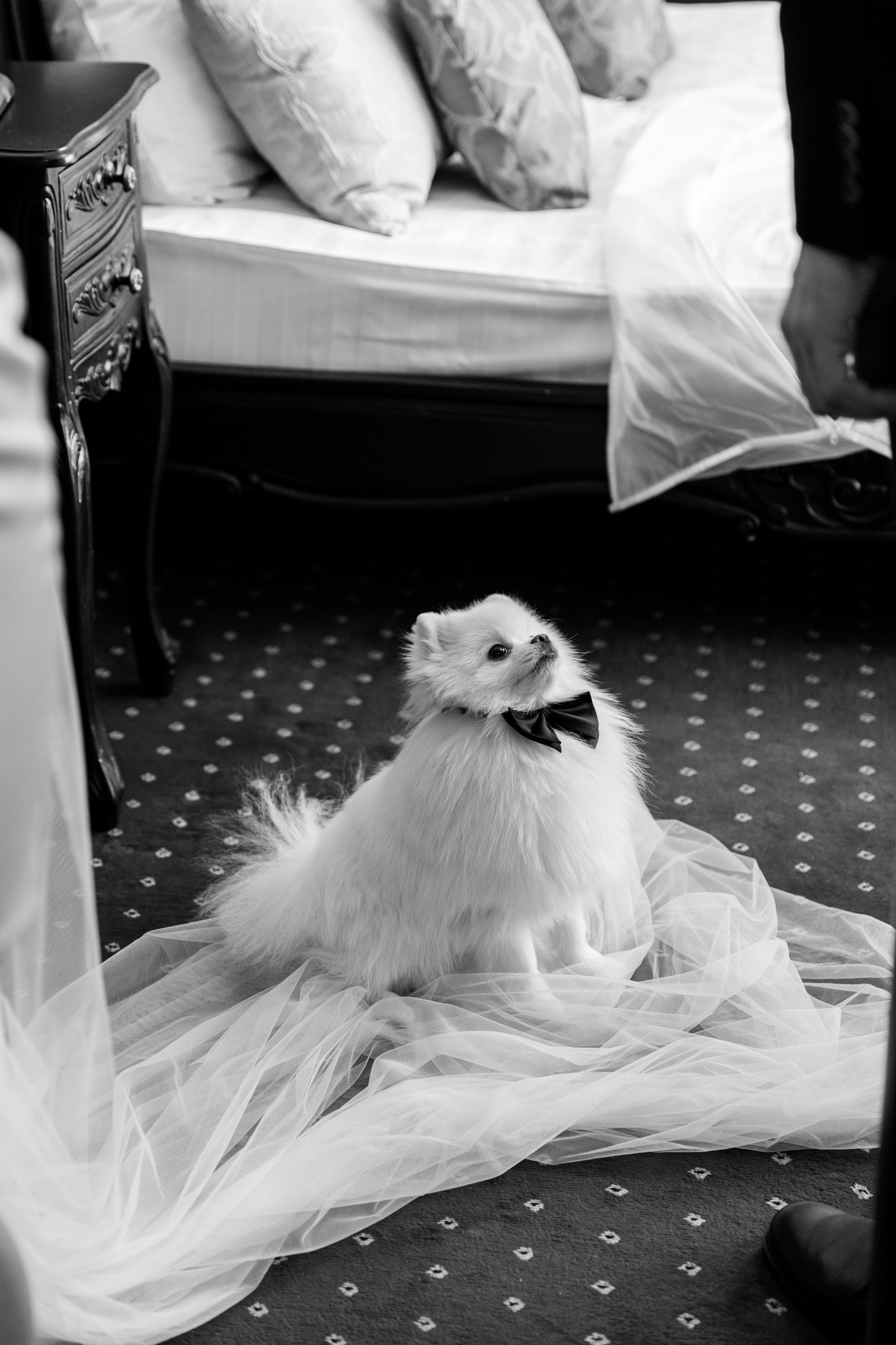 К&А. Профессиональный фотограф Юнаковская Оксана