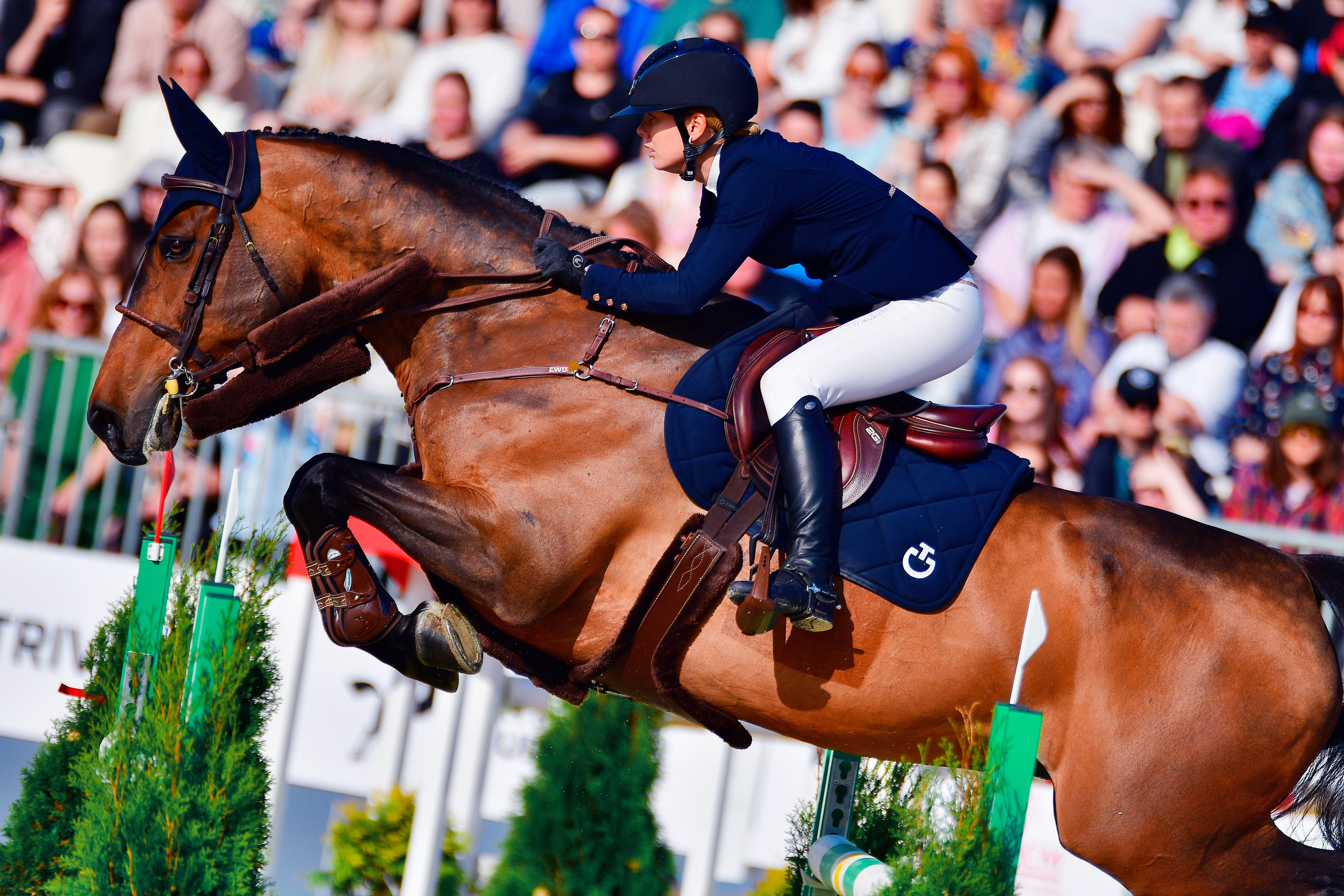 Репортаж Bitriver. Конный фотограф Alesya Safe