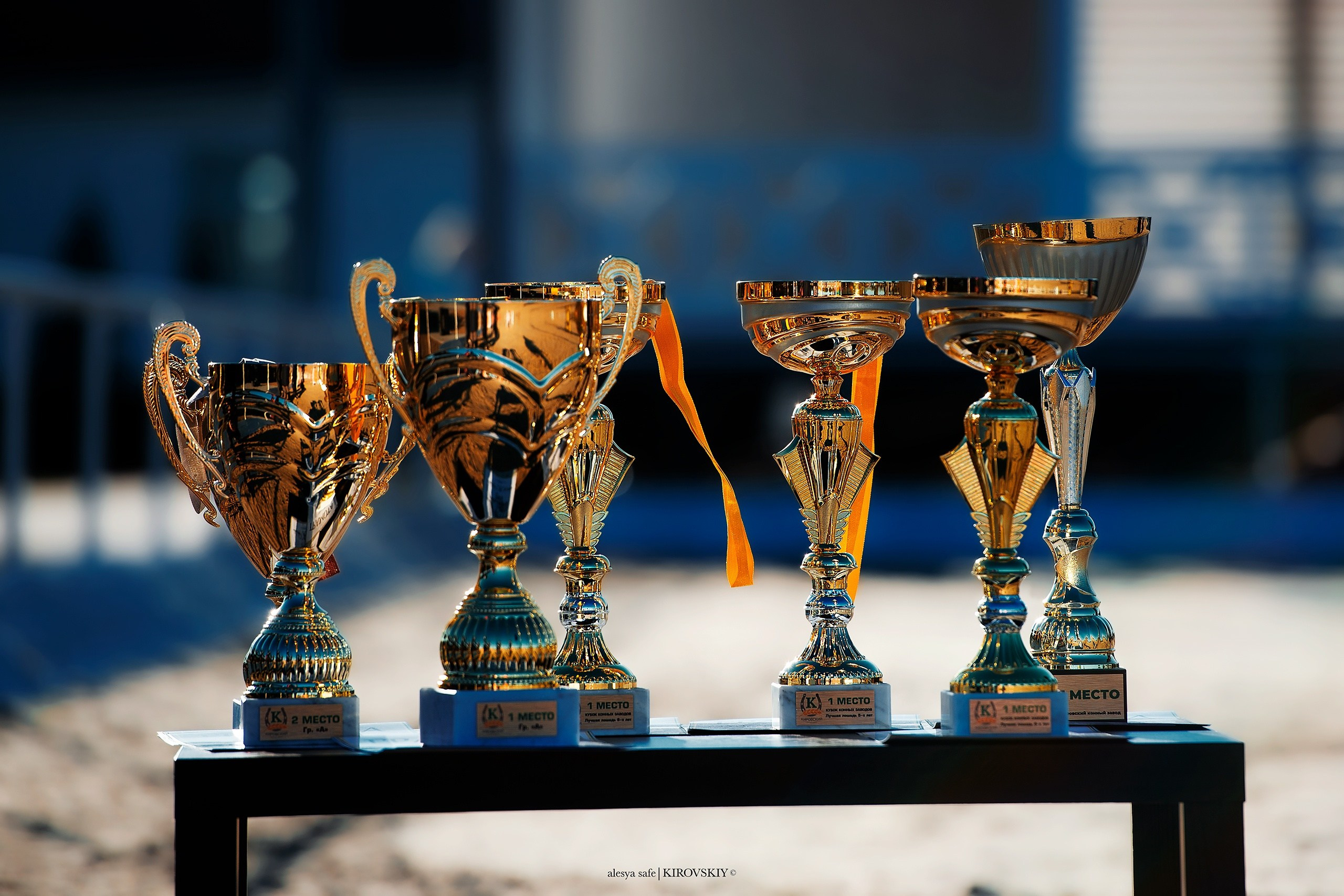 Кировский конный завод. Конный фотограф Alesya Safe