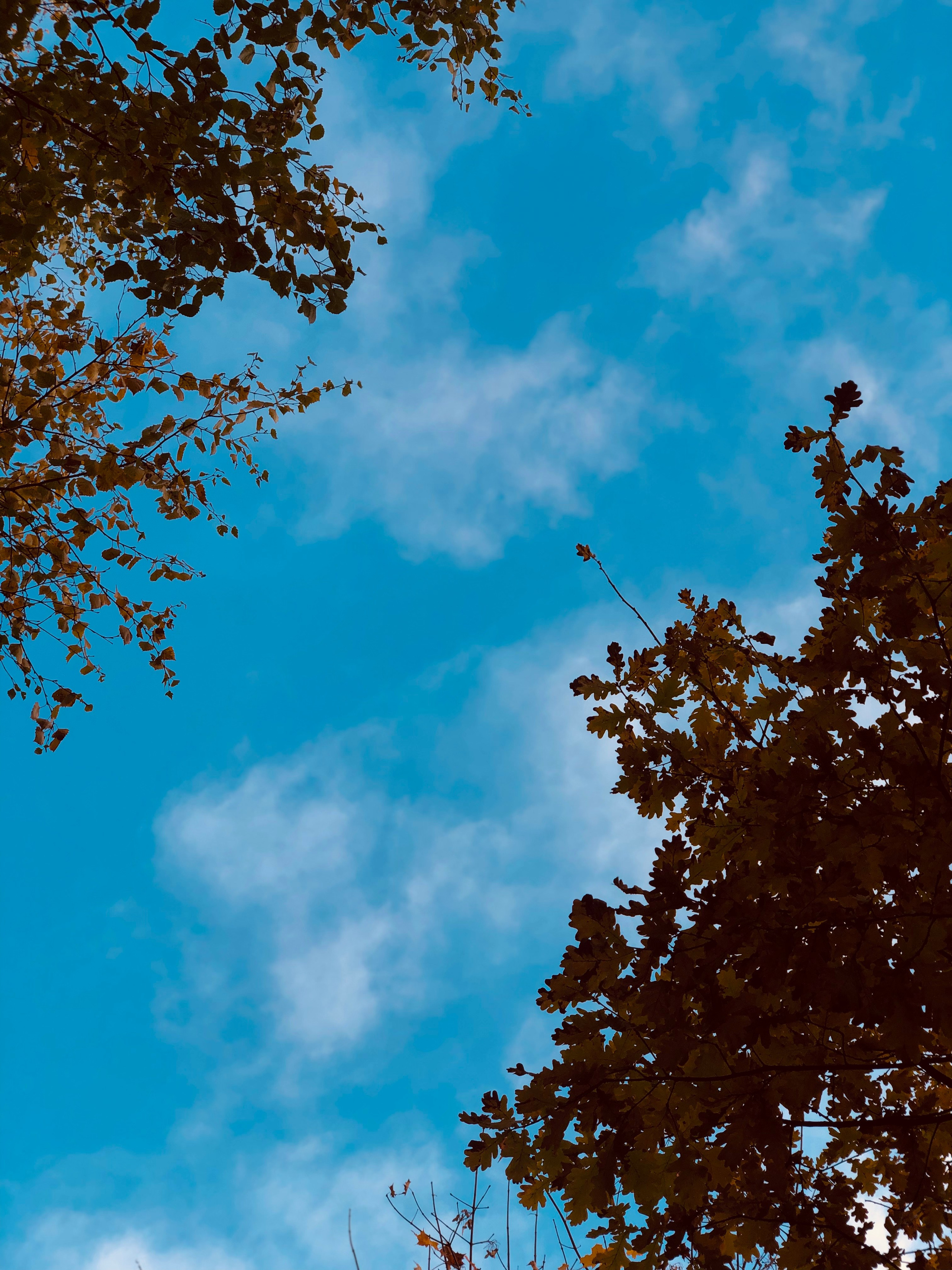 Октябрь. Семейный, Свадебный фотограф СПБ Питер— Романова Екатерина