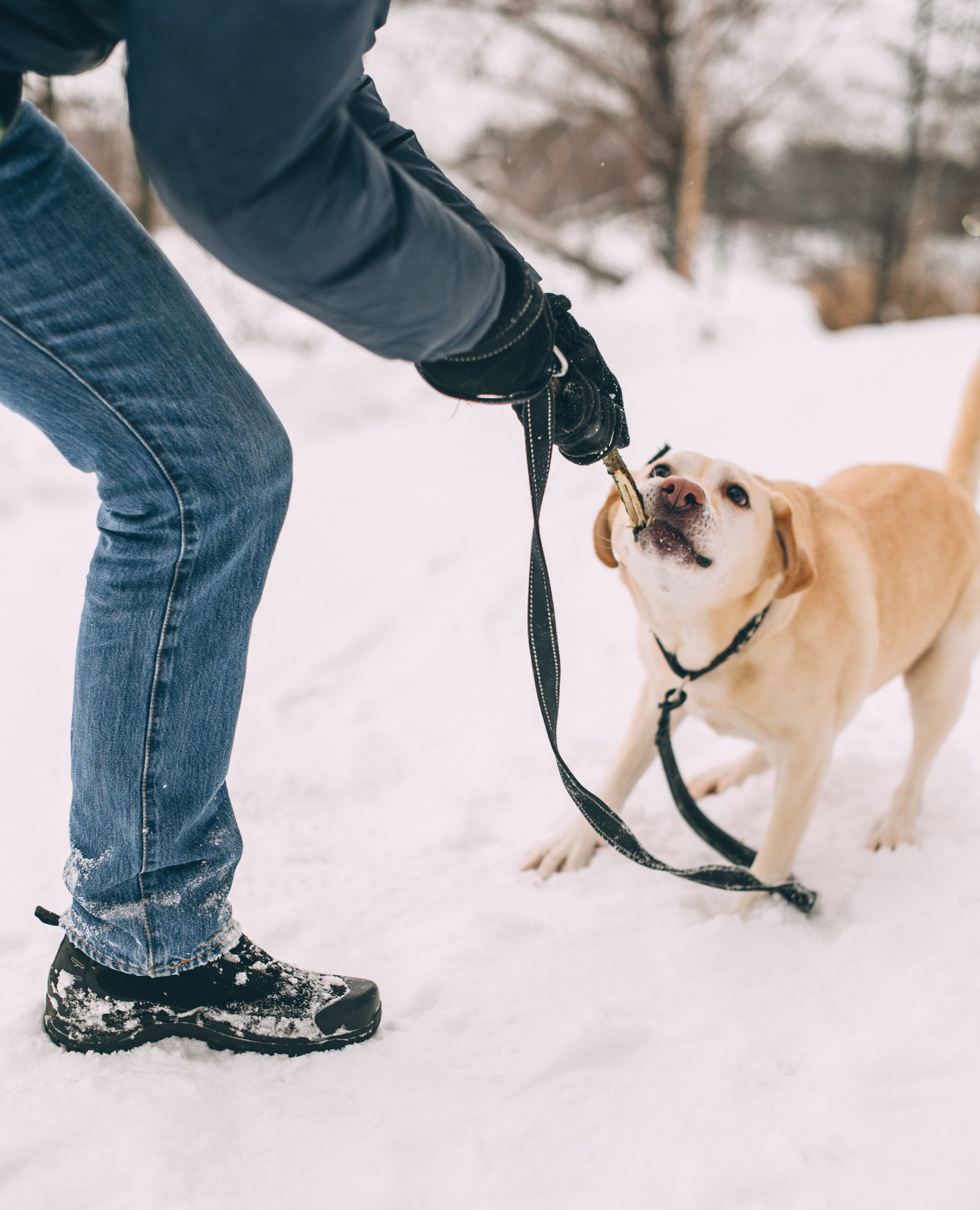 Зимняя прогулка папы и дочери. Свадебный и семейный фотограф София Невская