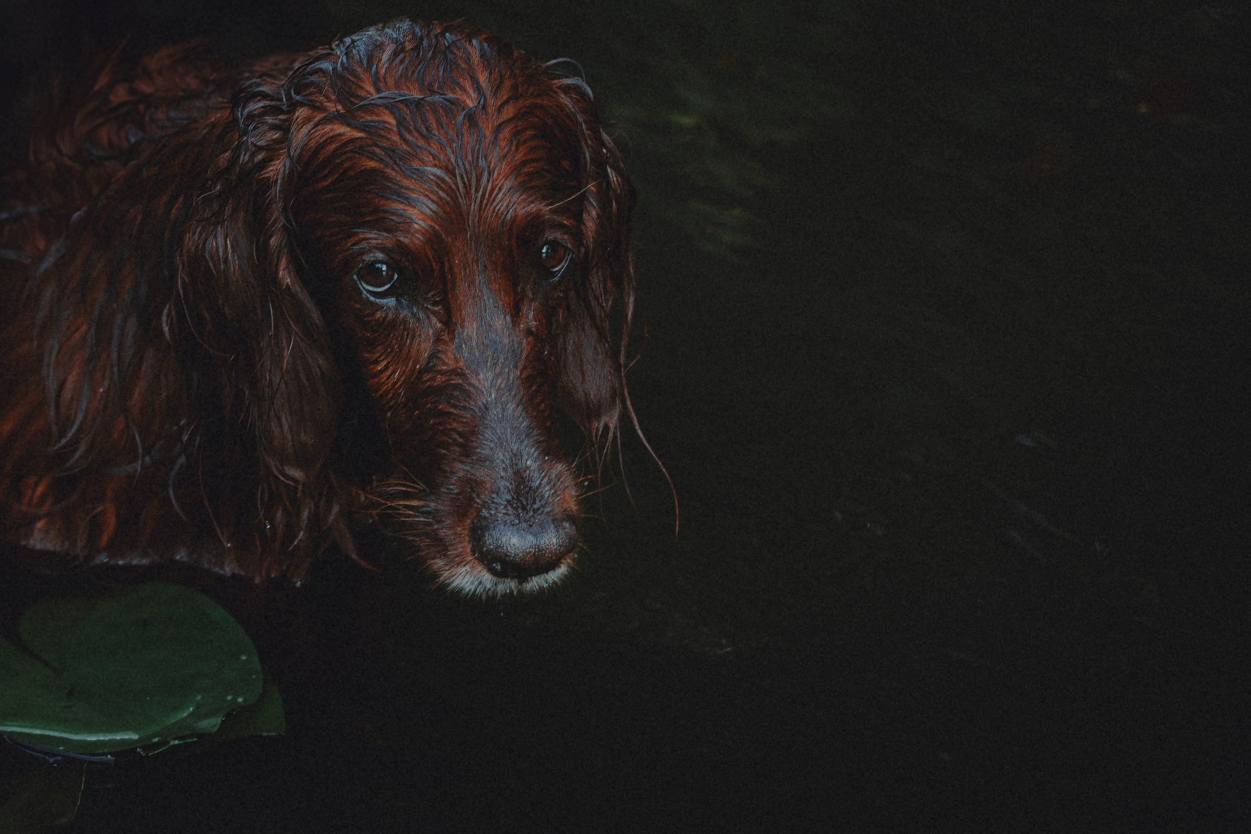 Маша и Джерри