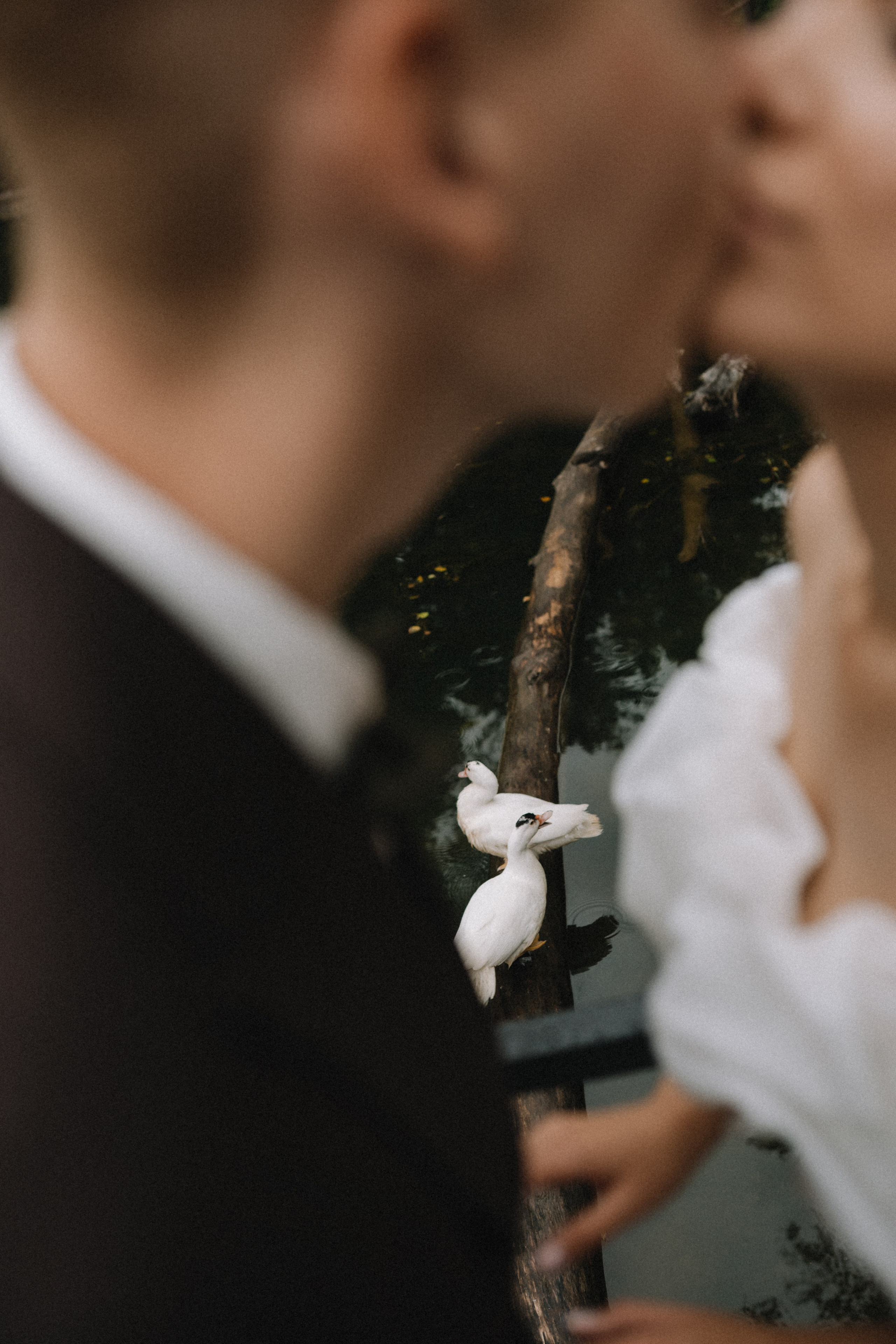 Константин и Алина. Свадебный фотограф в Новосибирска