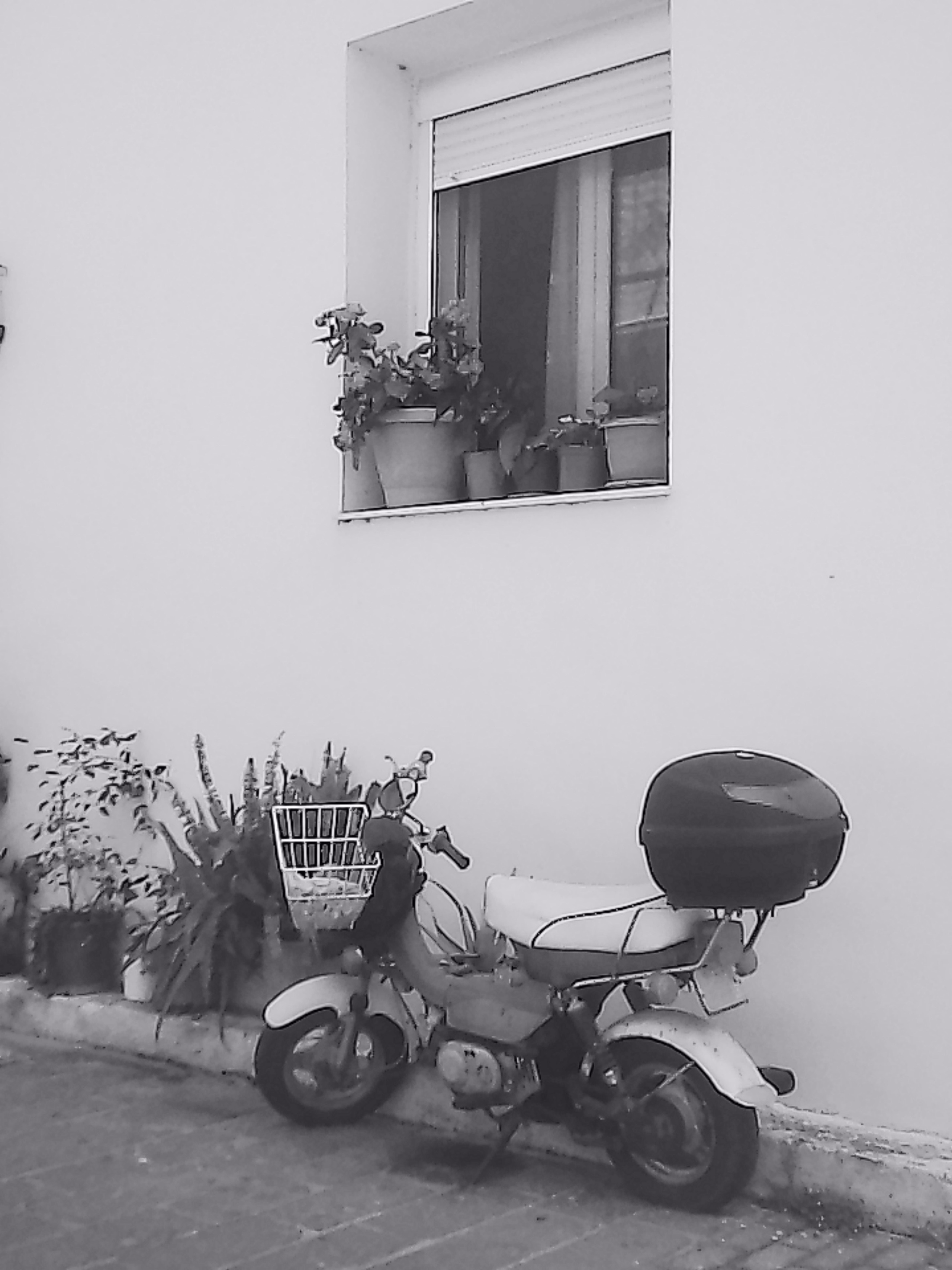 «Крошка 🐣». Anita_photo