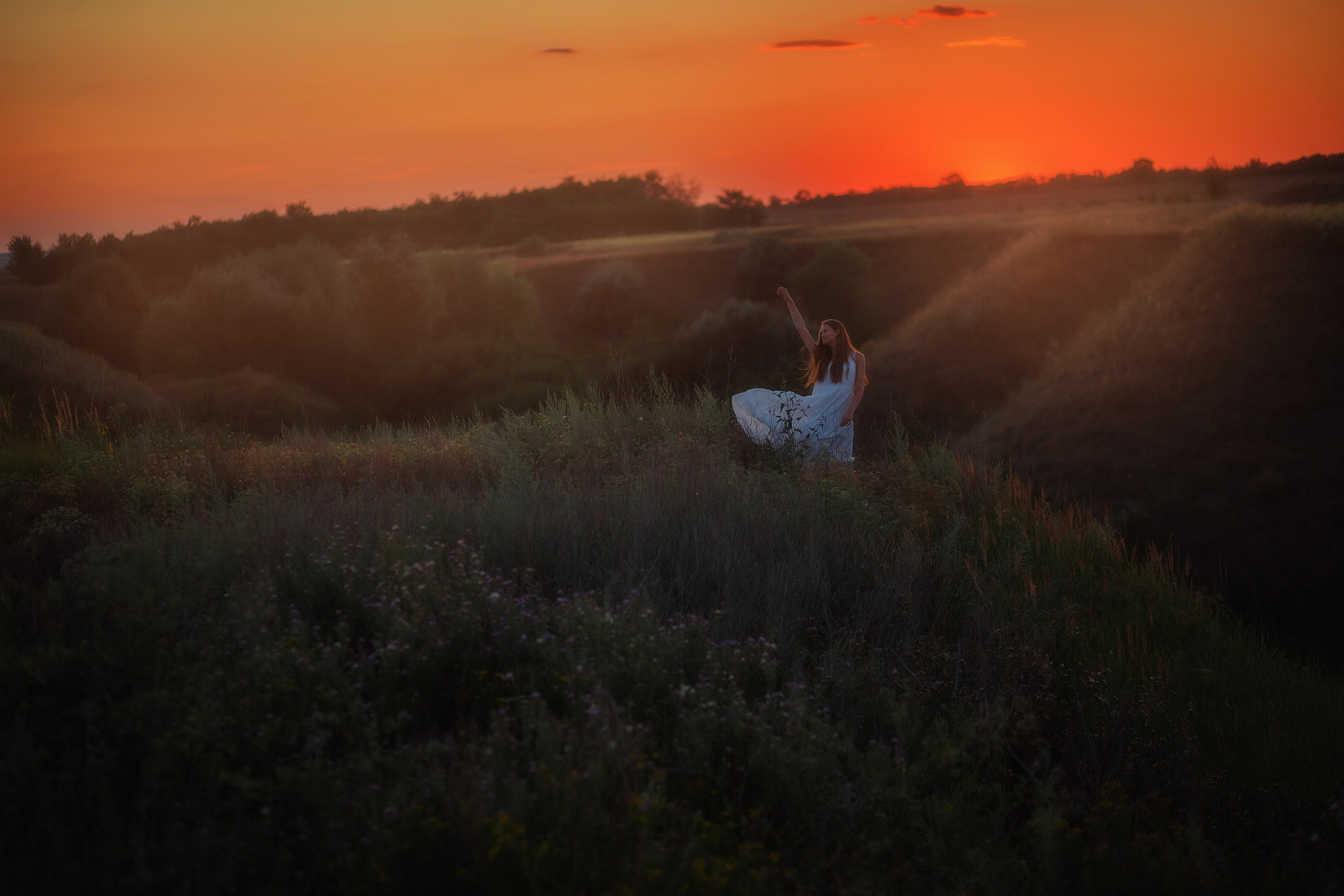 Летние поля. Детский и семейный фотограф в Москве и Моск. области Татьяна Минаева