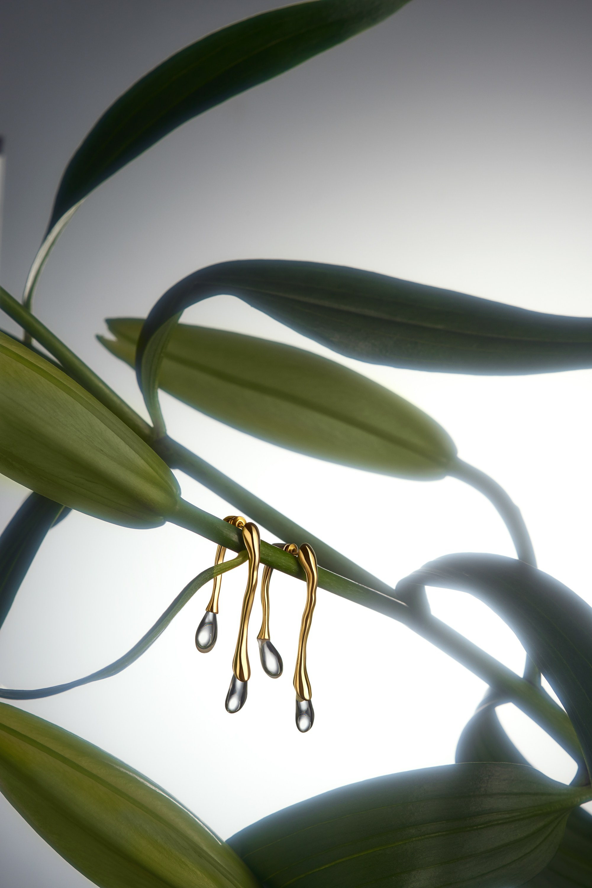 Съемка украшений, ювелирная фотография, стоимость съемки украшений, съемка бижутерии. Евгения Морозова фотограф: предметная и ювелирная съемка, фудфото