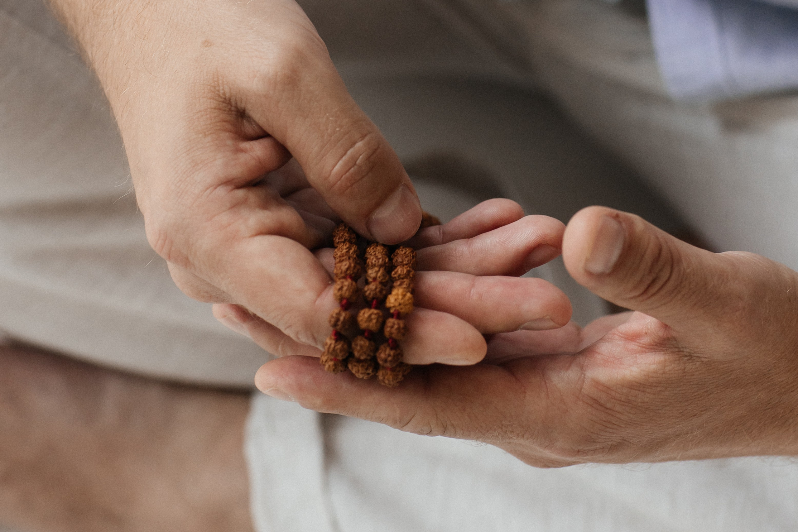 TARAS. Фотограф Ольга Лапшина