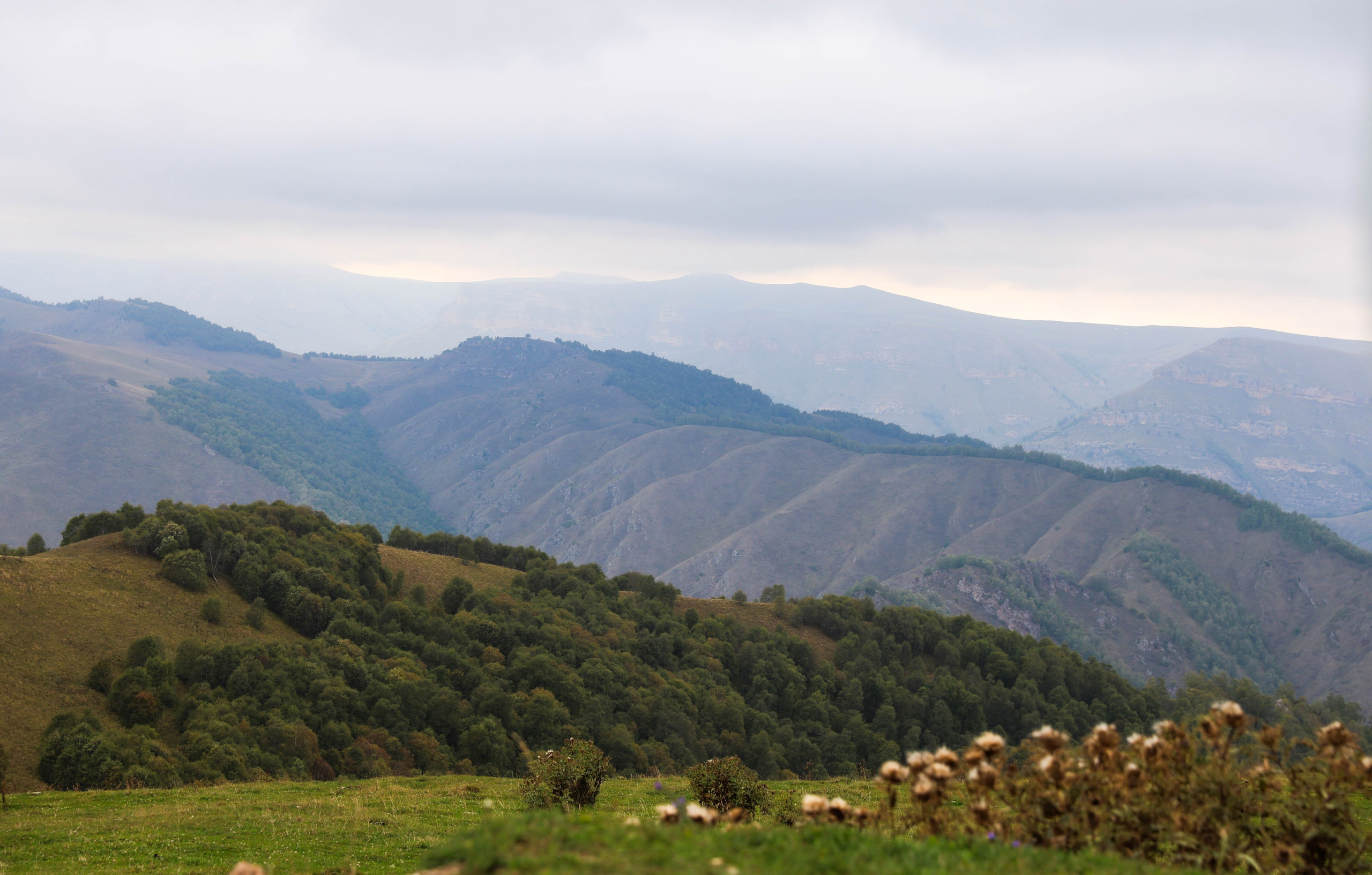 Фотограф Мария Алексеева. Мария Алексеева. Фотограф в Москве