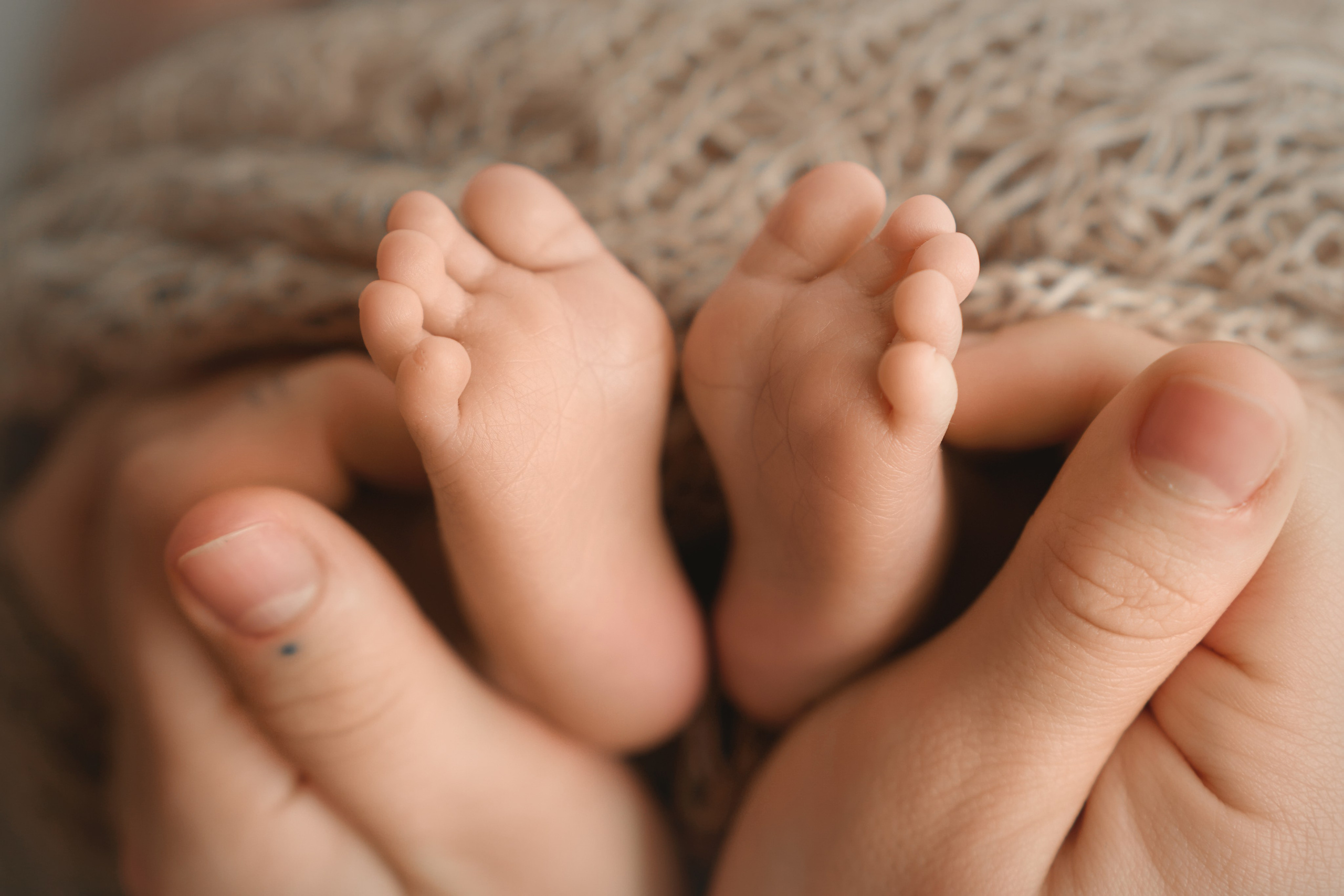 Захар. Фотограф новорожденных во Владивостоке Ромашко Виктория