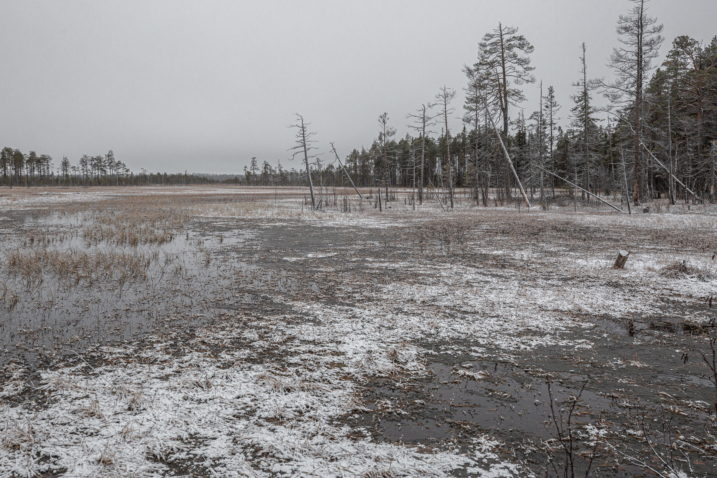 Ворзогоры. Фотограф — путешественник Светлана Романовская