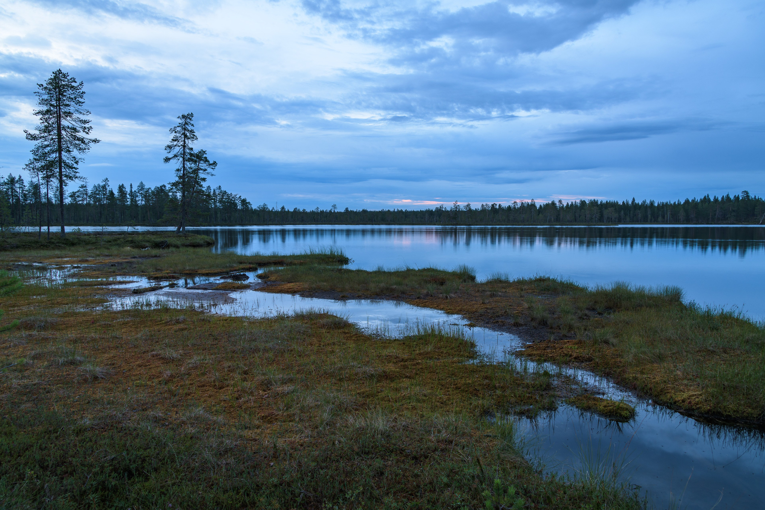 Лето. Северные Ночи