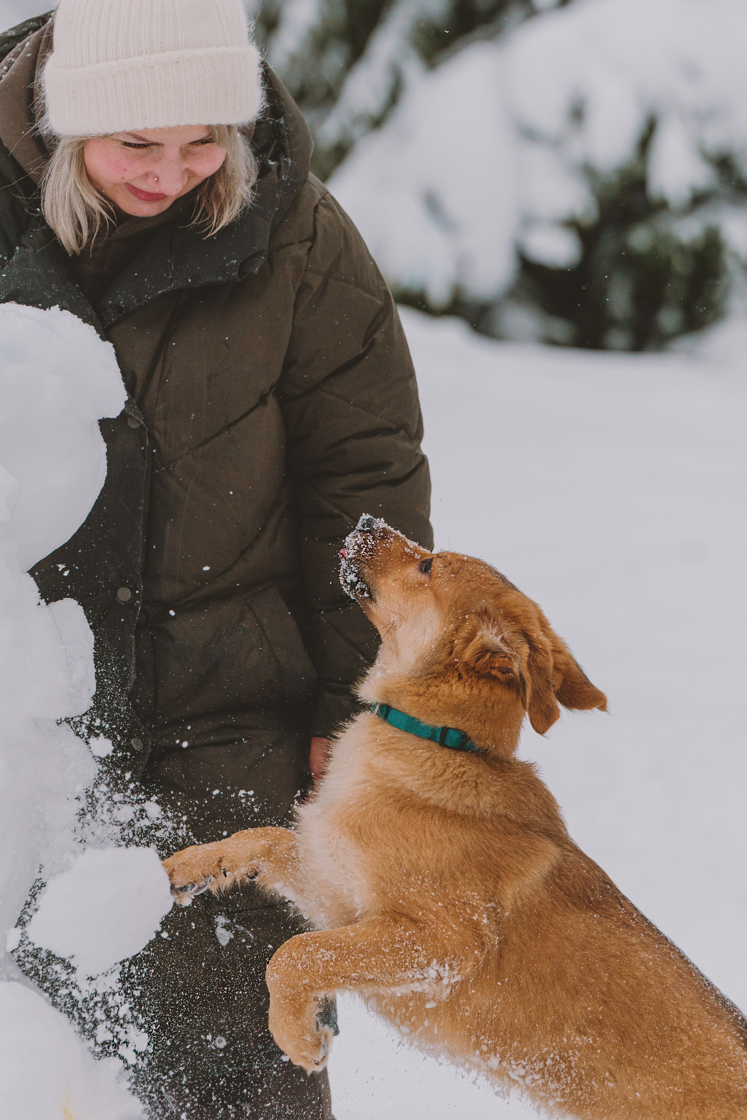 Фотосессия с питомцами на природе. Фотограф анималист в Спб недорого Олеся Майорова