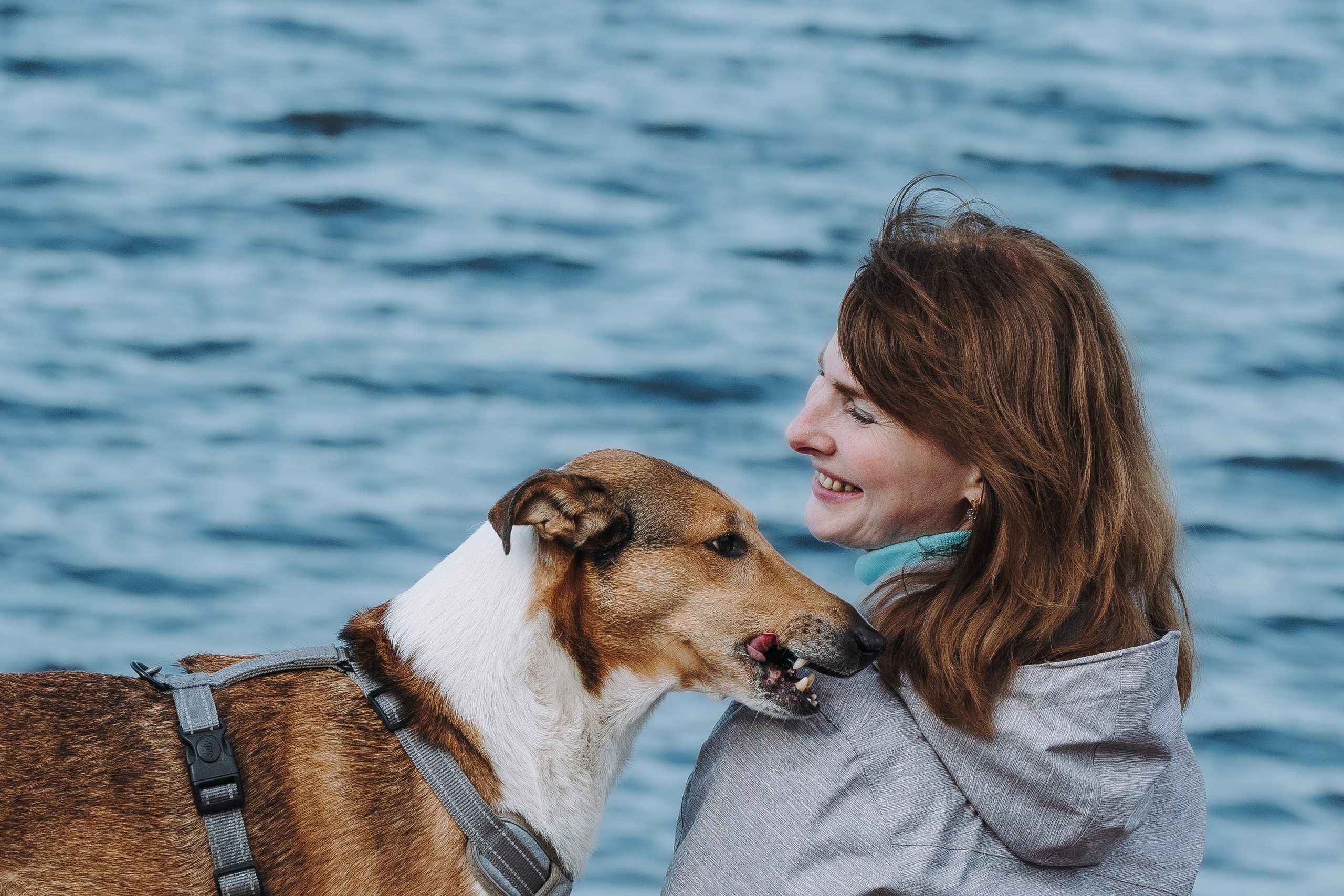 Соревнования по ноузворку в Лосево. Фотограф анималист в Спб недорого Олеся Майорова
