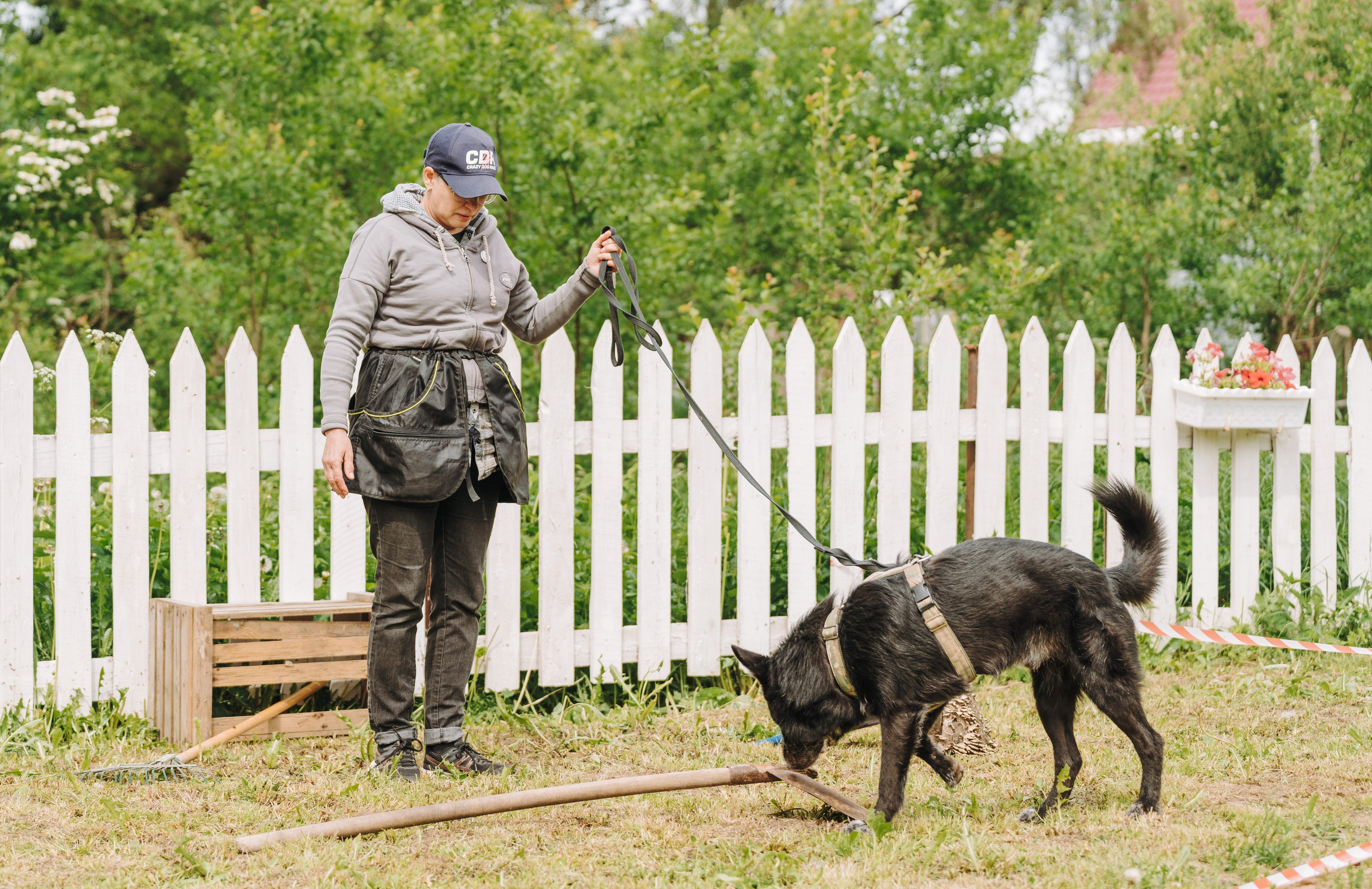 Соревнования по ноузворку. Фотограф анималист в Спб недорого Олеся Майорова