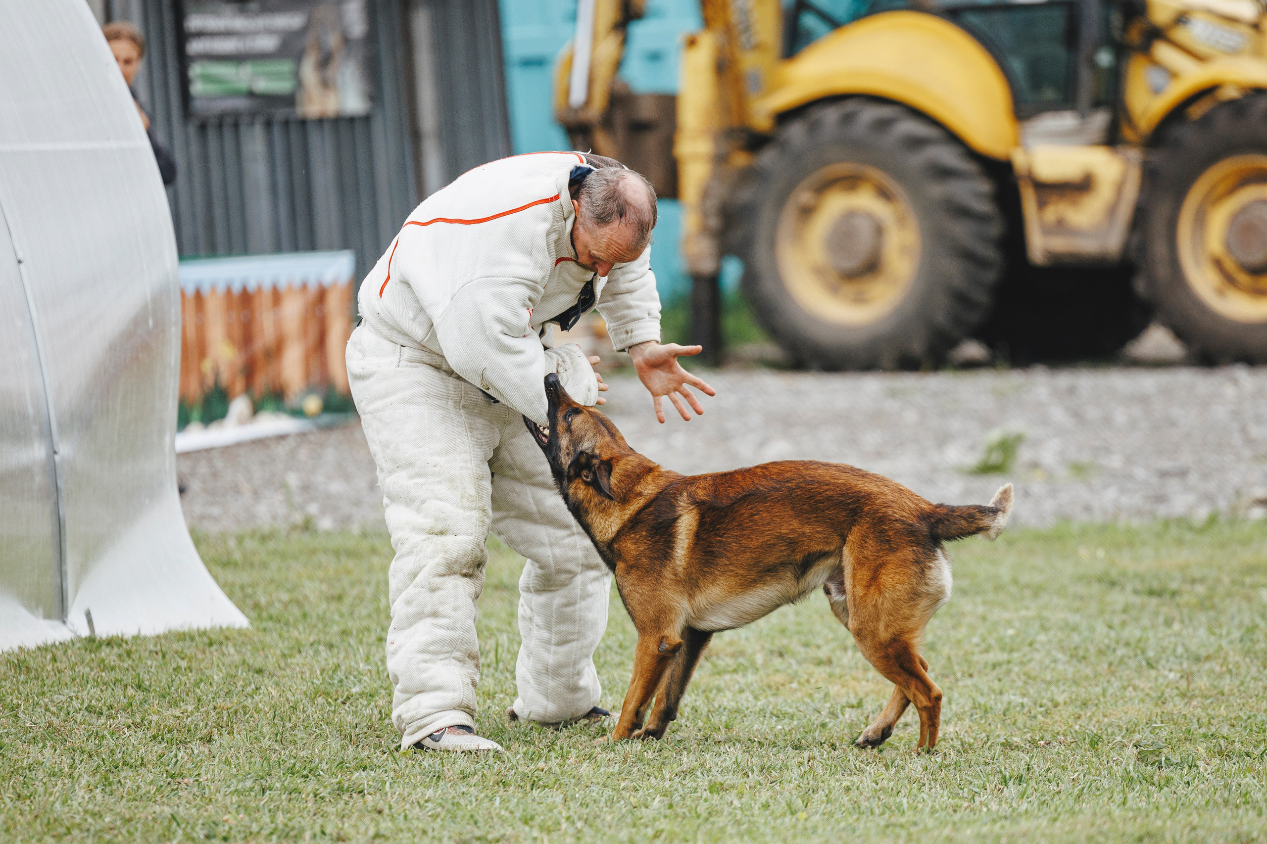 08.08.25-10.08.25 ЧР по мондьорингу г. Вологда. Фотограф-анималист Анна Маринич