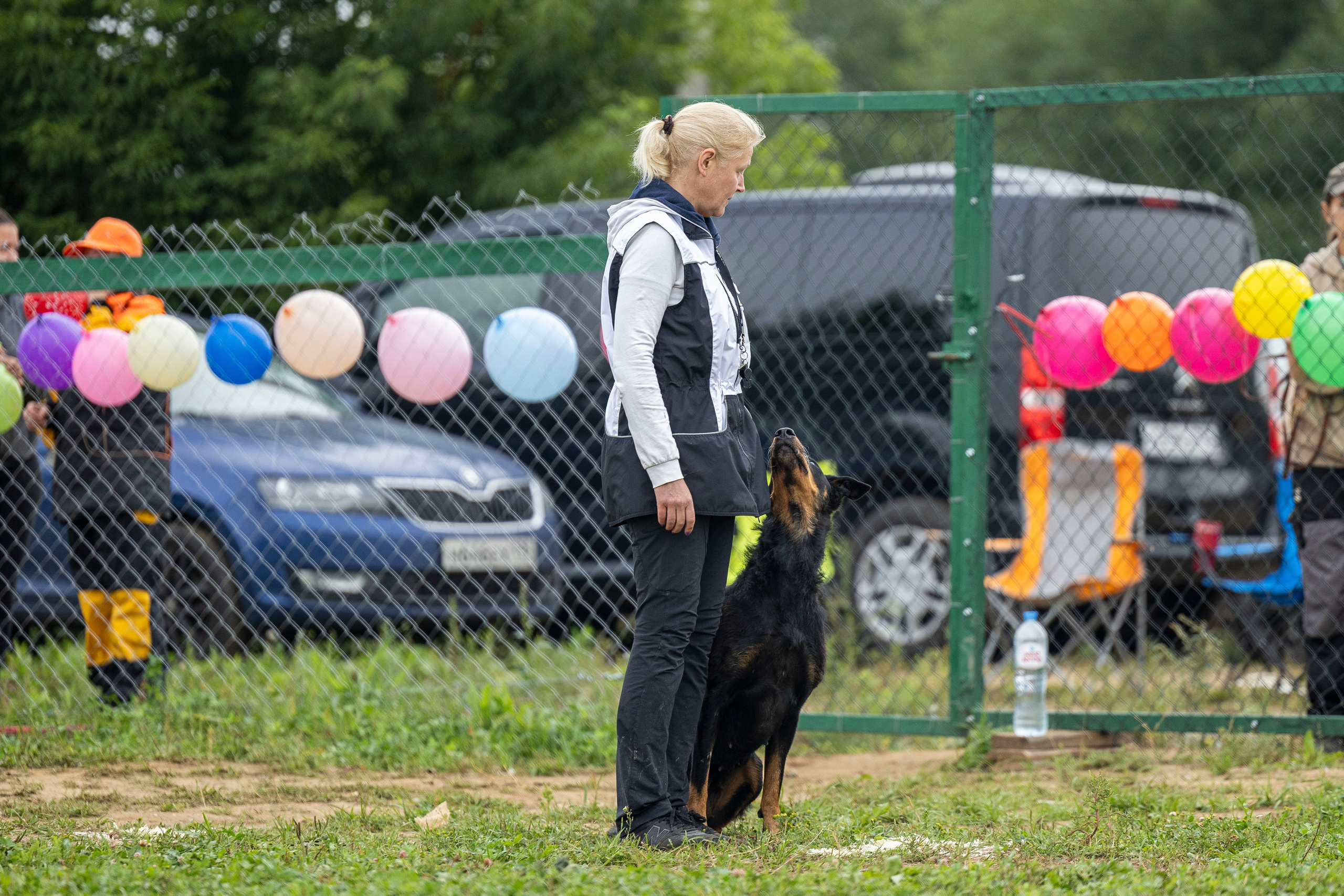 Соревнования по Мондьорингу г. Вологда 10-11.08.2024. Фотограф-анималист Анна Маринич