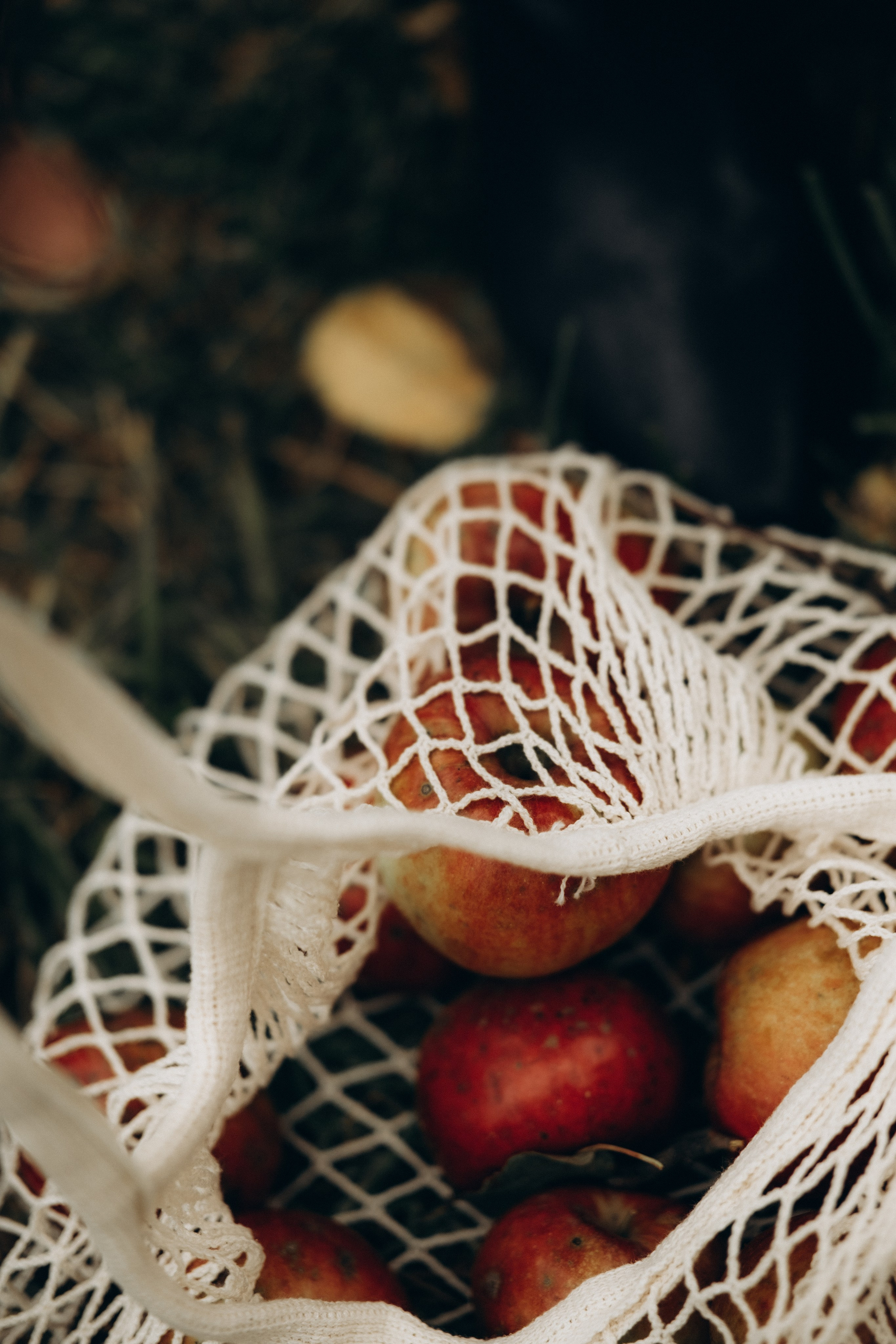 Анастасия. Фотограф в Москве Ольга Елоева
