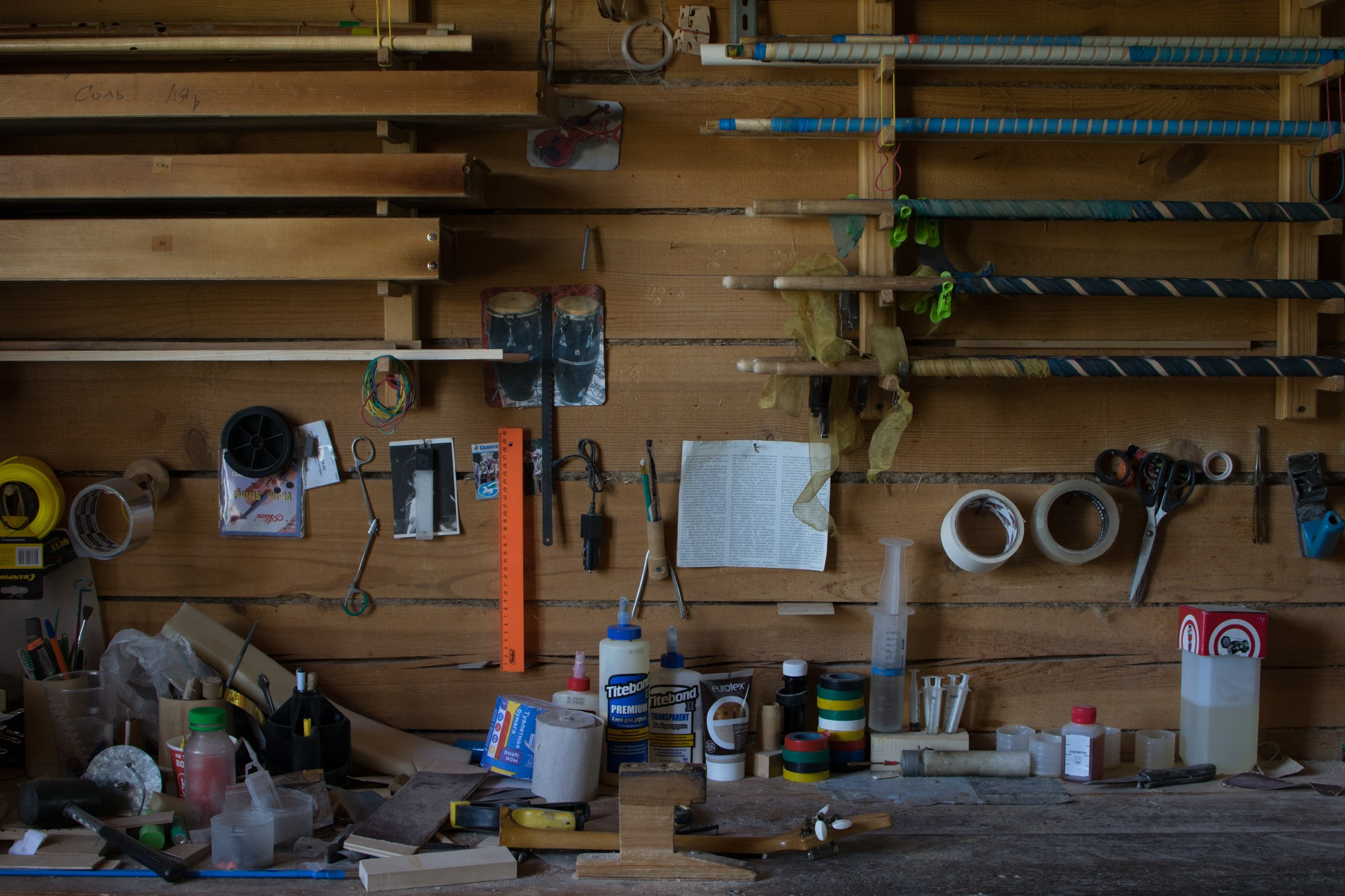 Кураисты. Междисциплинарная художница Катерина Березина