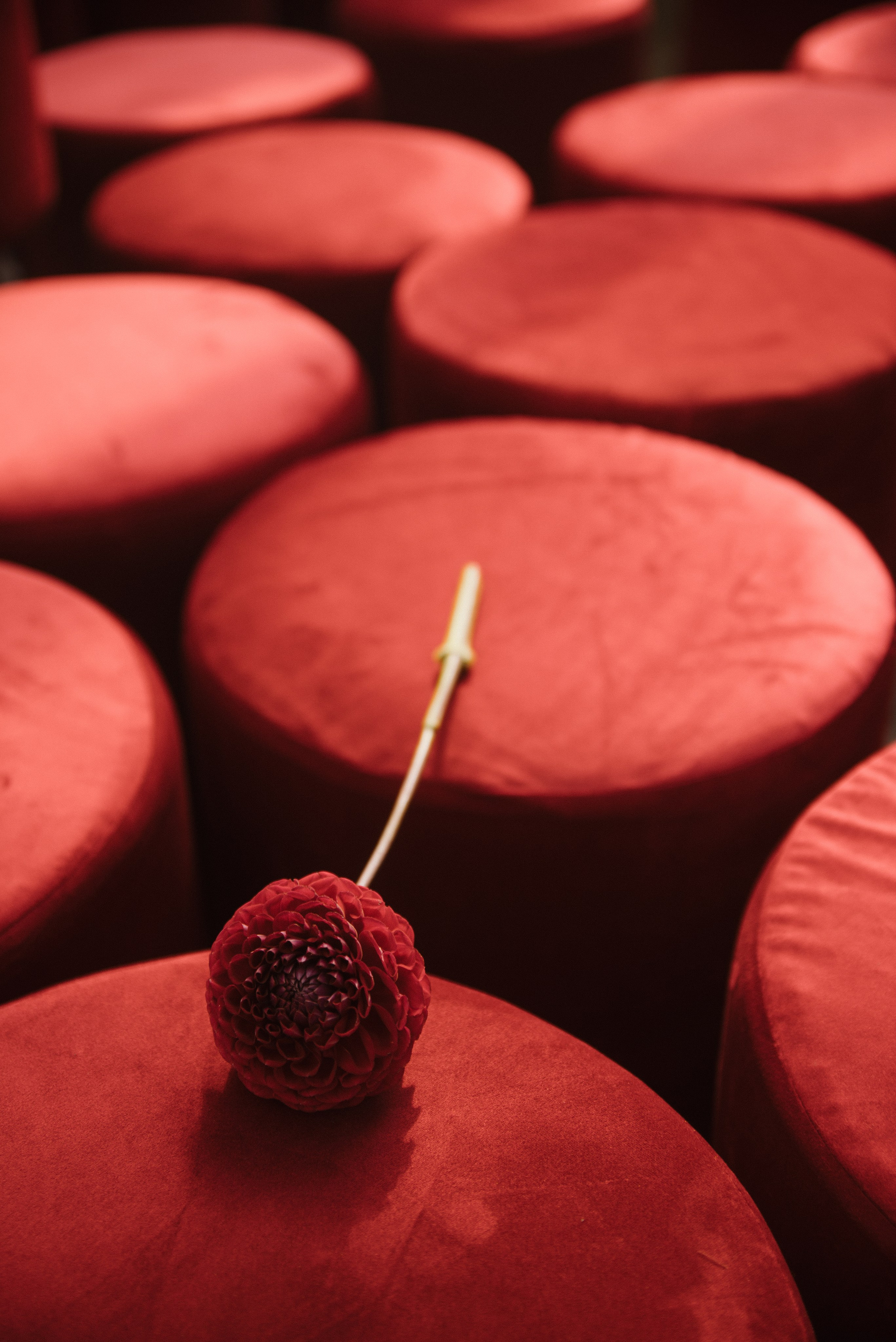 Мария & Артём. Свадебный, семейный, женский фотограф в Москве, Мытищах, Королёве Ксения Узилле