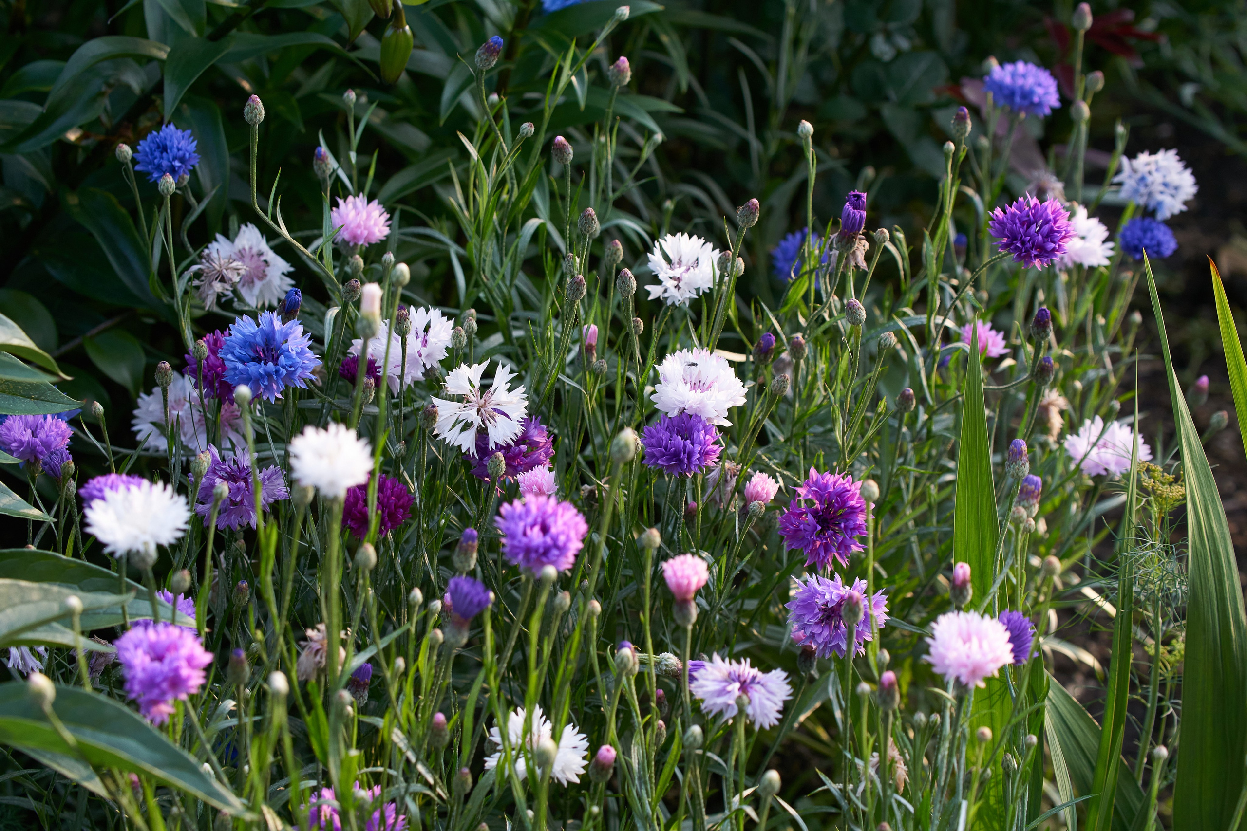 Наша мать — природа. Фотограф Владимир Артамонов