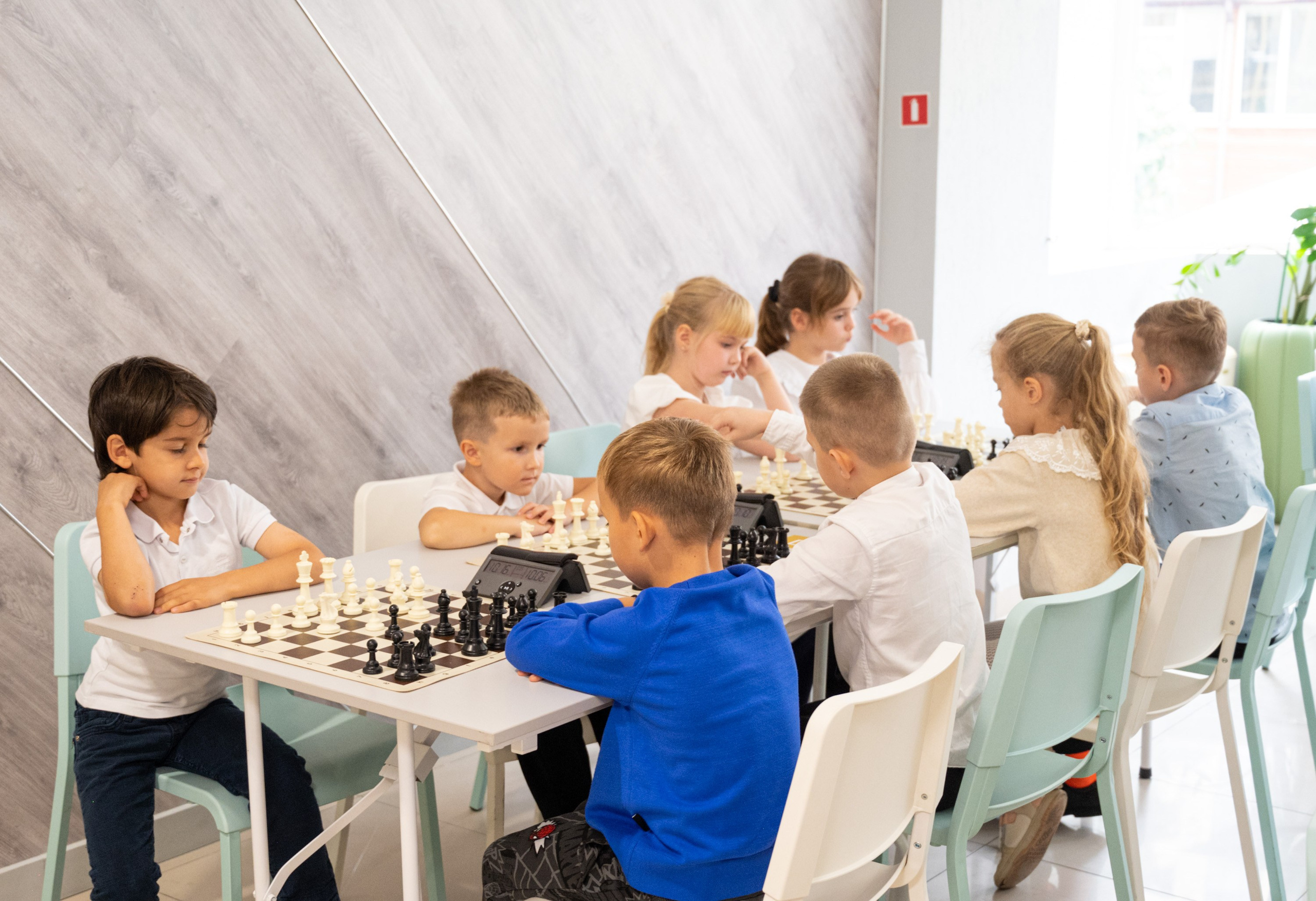 Турнир по быстрым шахматам «ОСЕННИЙ КУБОК"♟. Фотографирую счастливых людей в Сочи