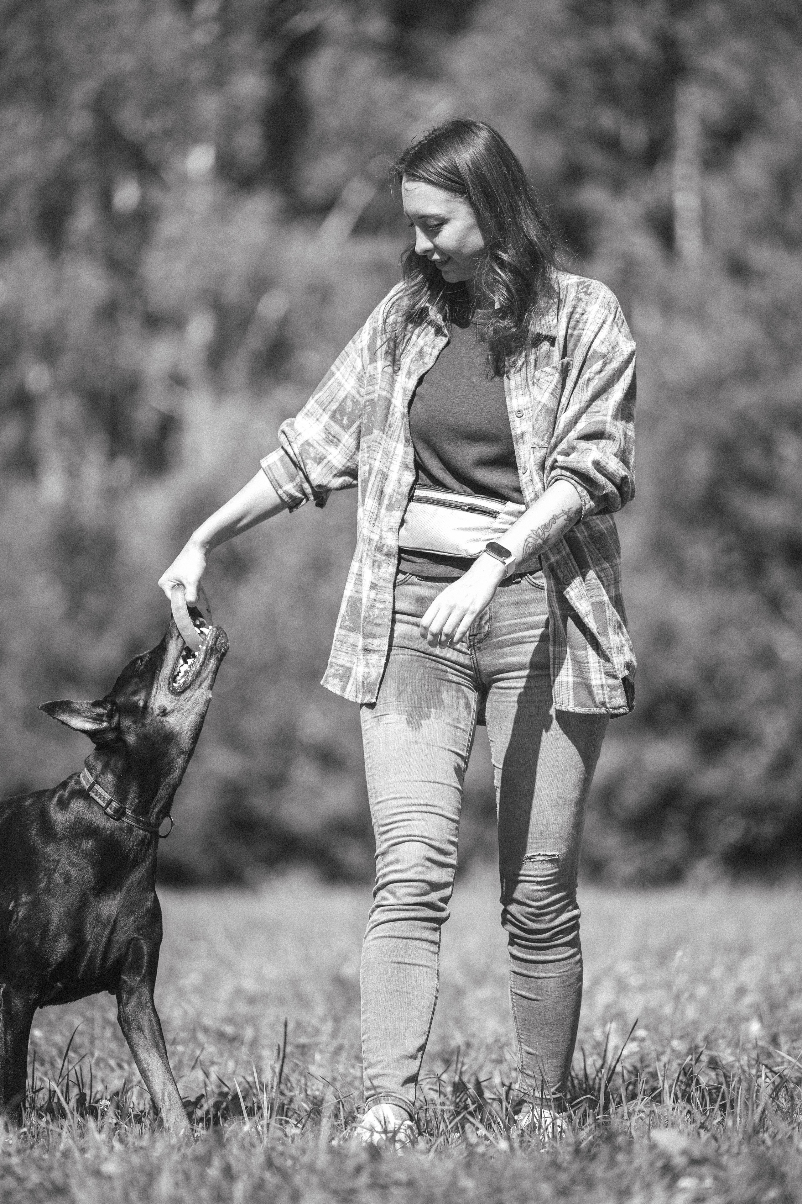 Доберман Айза. Фотограф Анималист в Москве Анастасия Жучкова