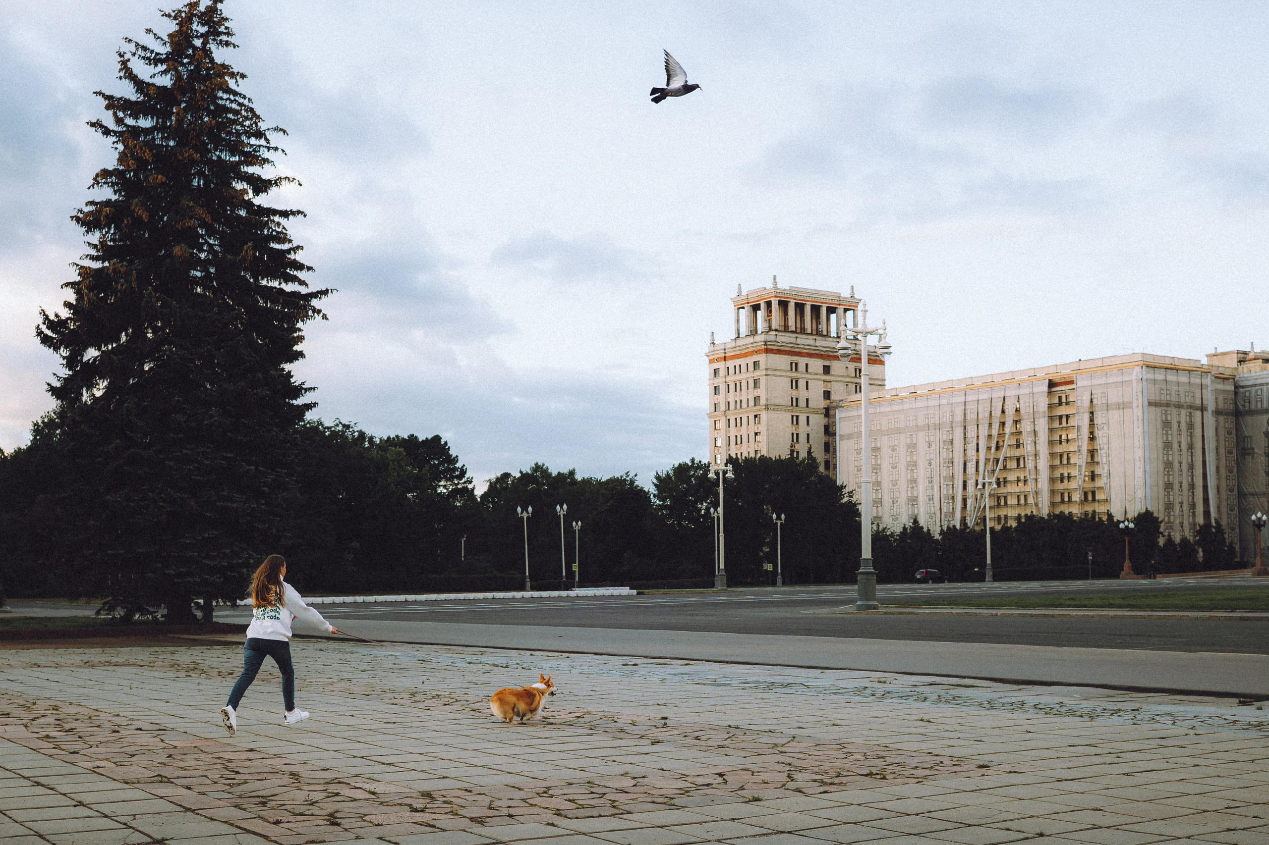 Пуговка и ее семья