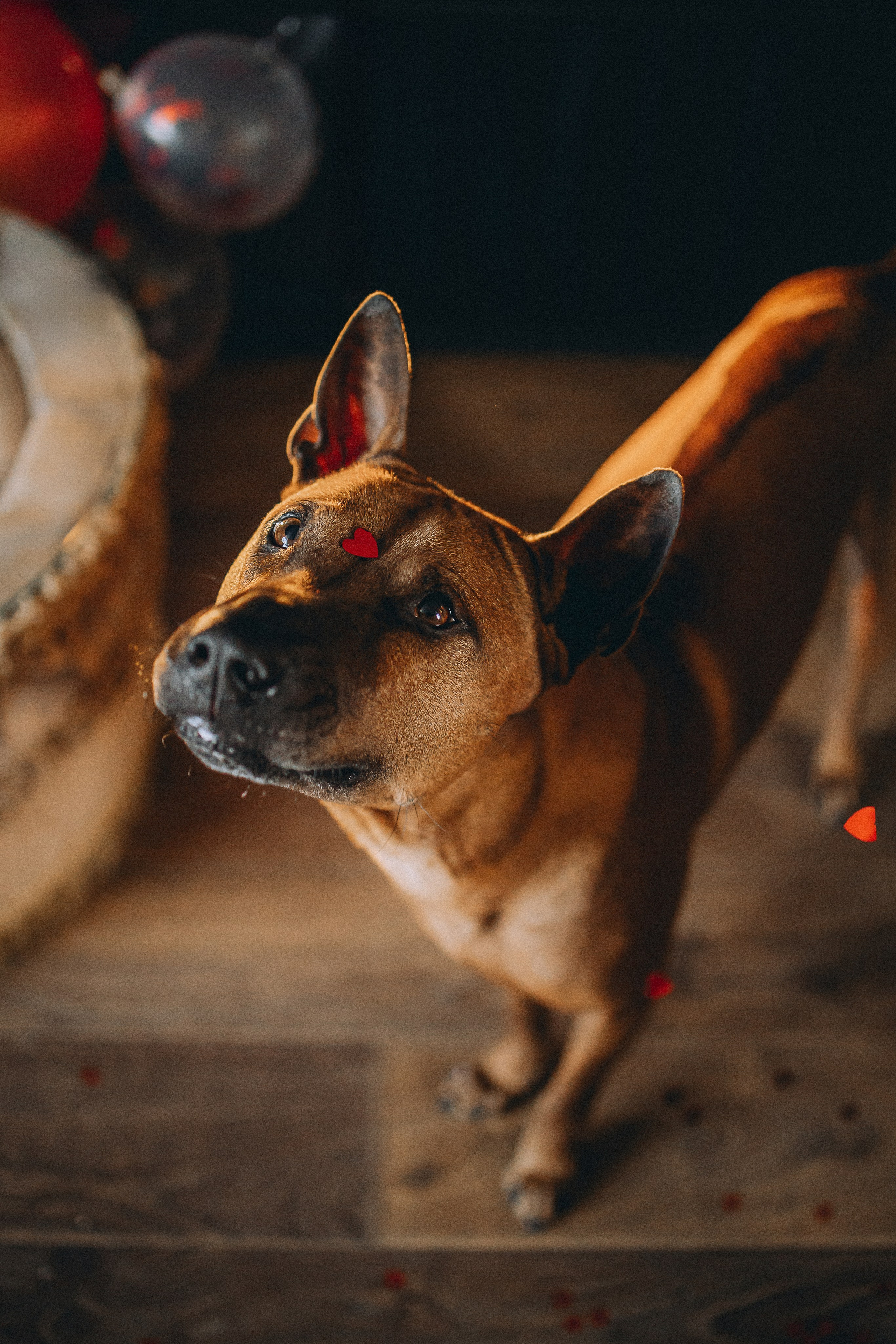 Оксана и Зевс