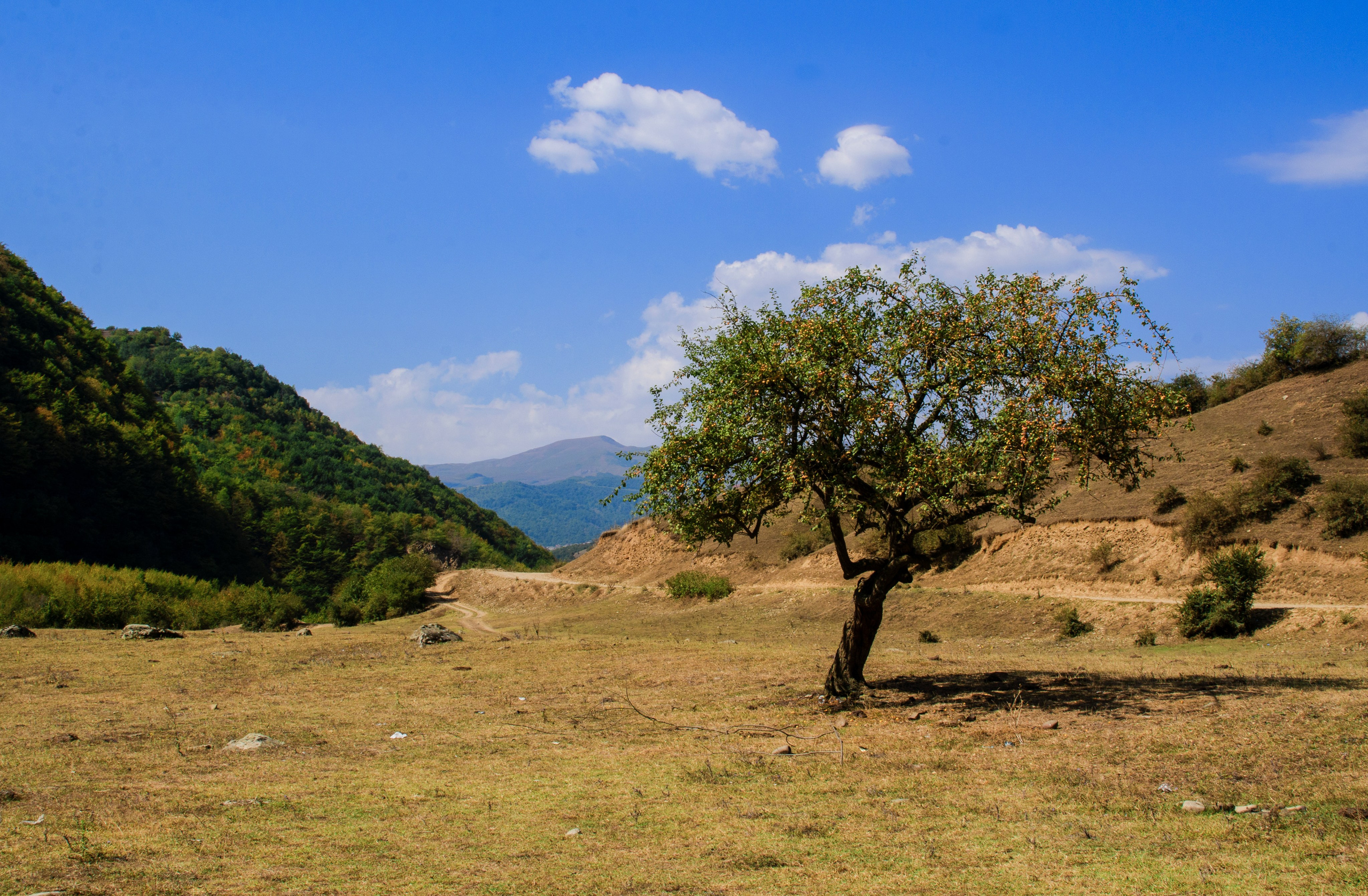 Природа. Фотограф Владимир Охрименко